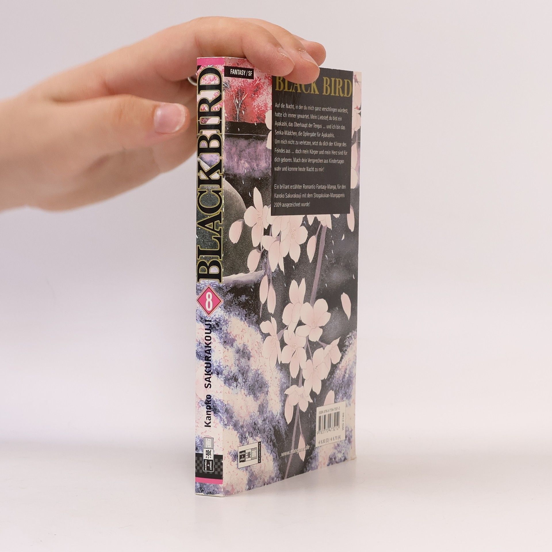 Kanoko Sakurakoji Black bird 8