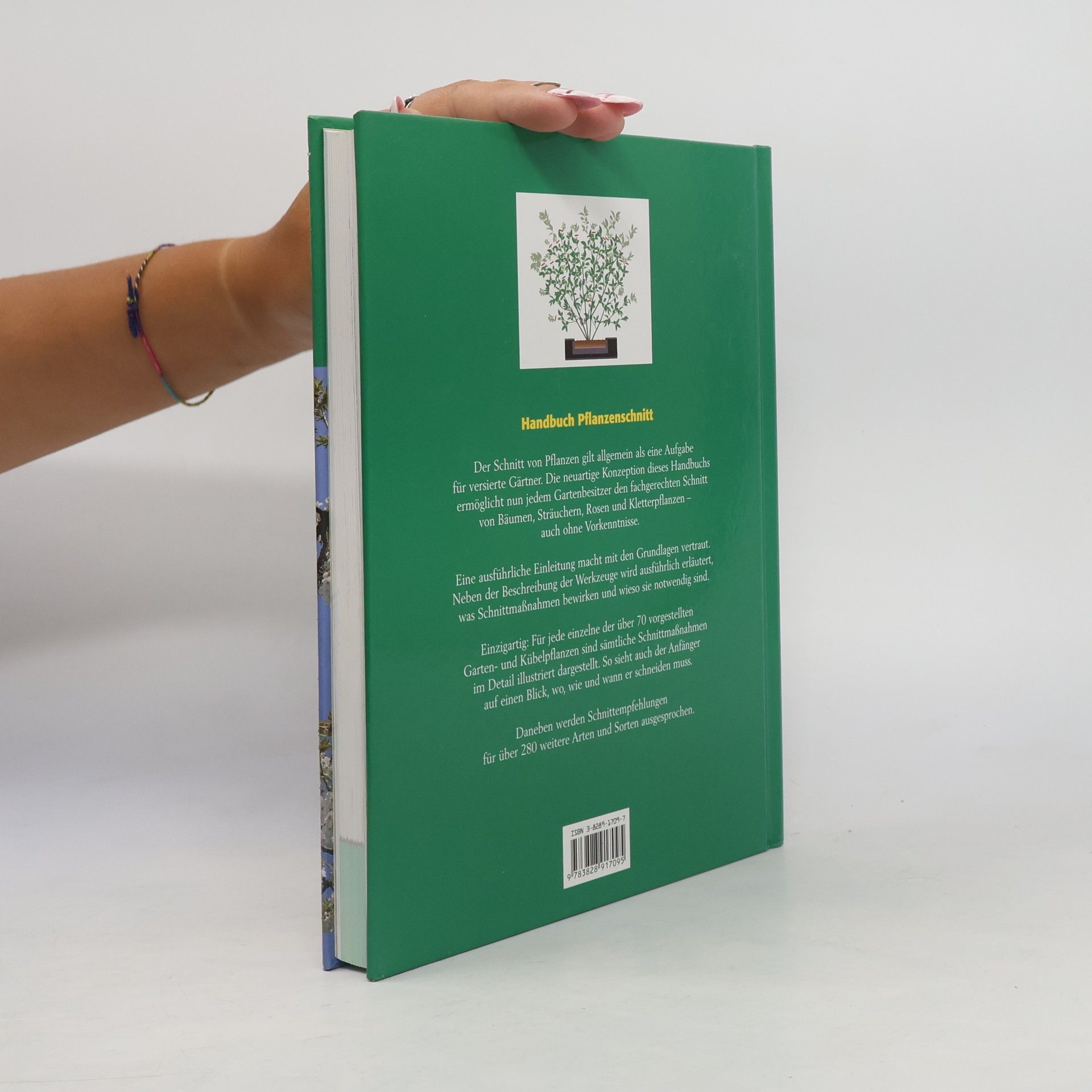 Steven Bradley Handbuch Pflanzenschnitt