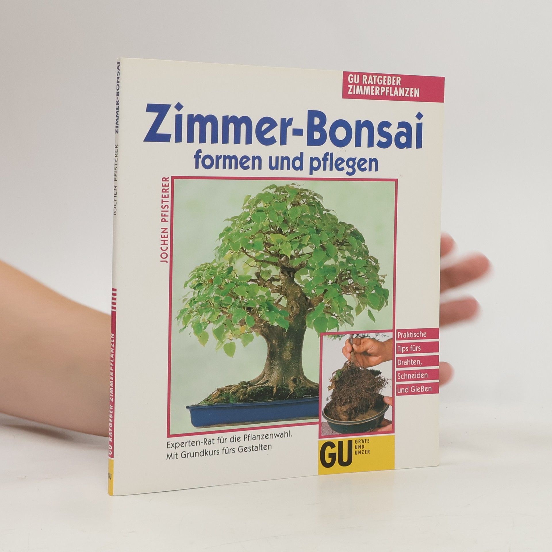 Jochen Pfisterer Zimmer-Bonsai formen und pflegen