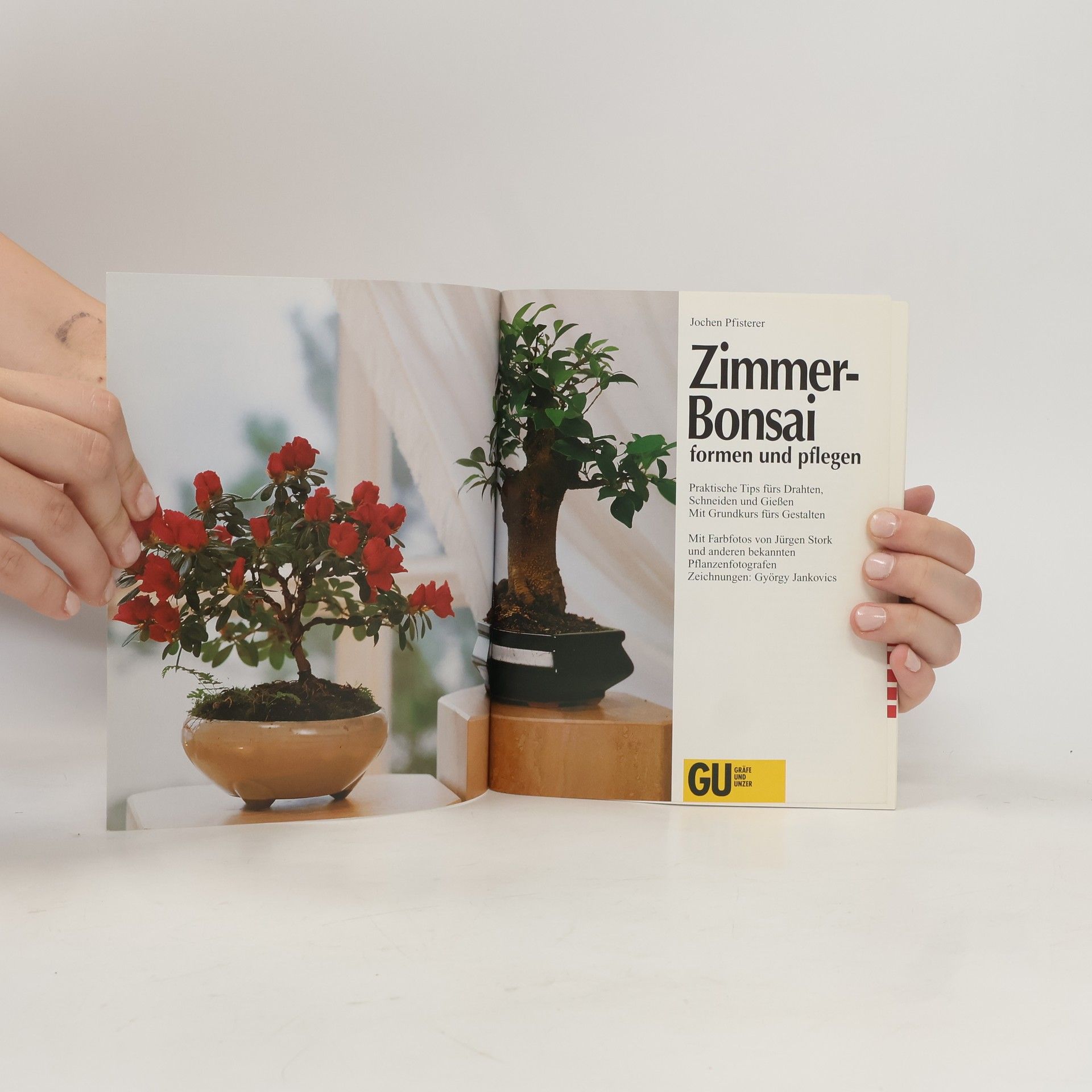 Jochen Pfisterer Zimmer-Bonsai formen und pflegen
