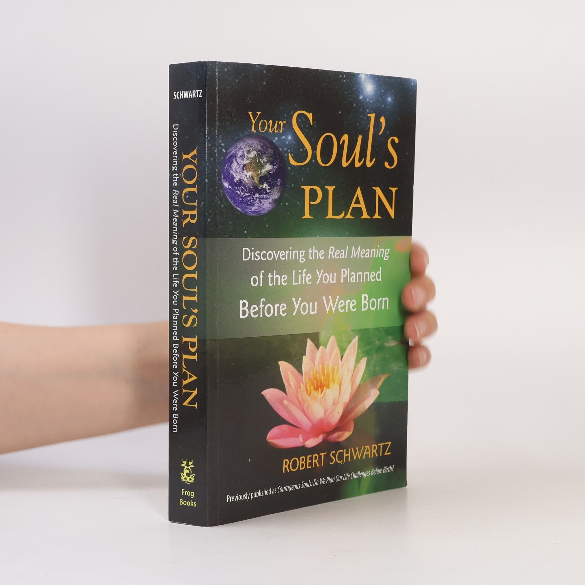 Robert Schwartz Your Soul's Plan