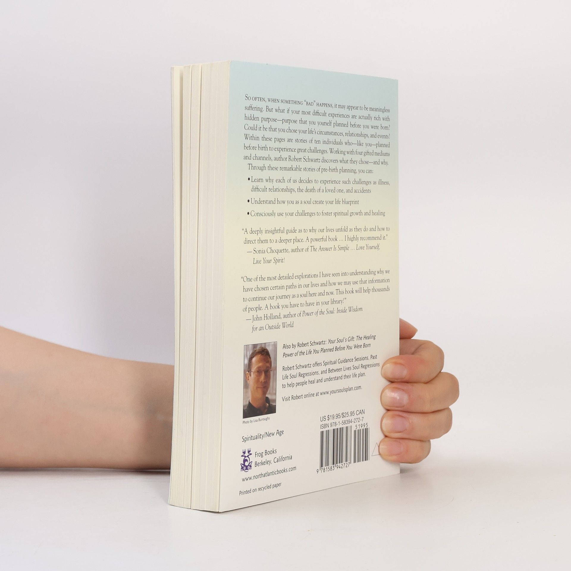 Robert Schwartz Your Soul's Plan