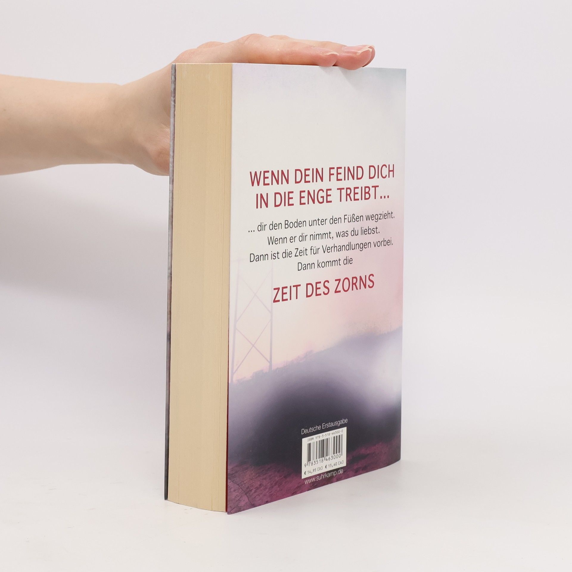 Don Winslow Zeit des Zorns