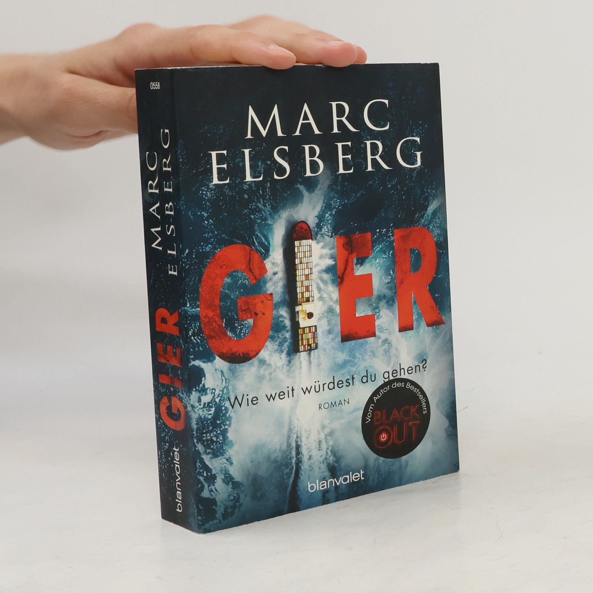 Marc Elsberg Gier