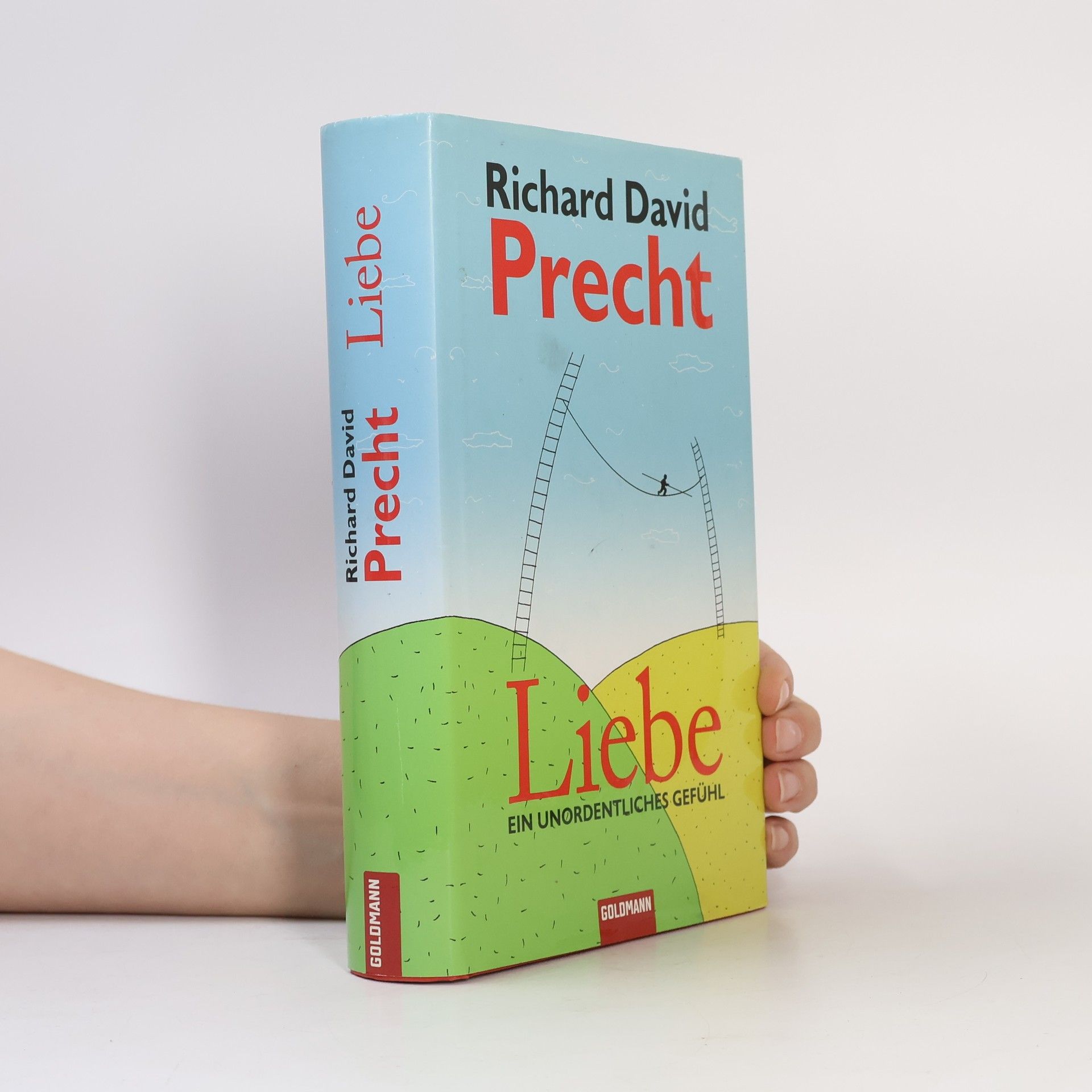 Richard David Precht Liebe ein Unordentliches Gefühl