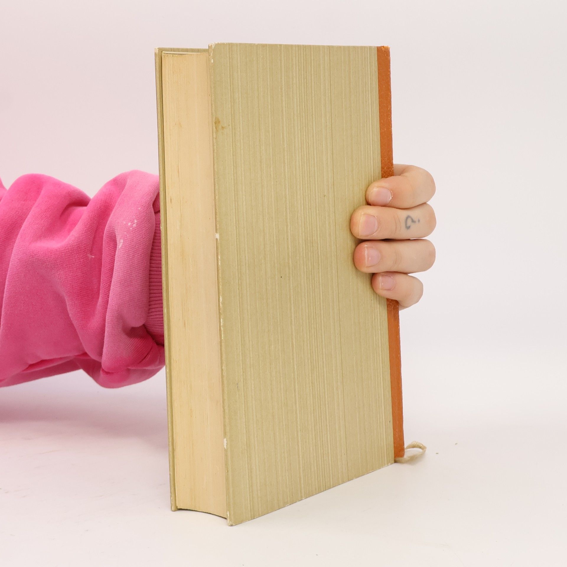 Max Frisch Stiller