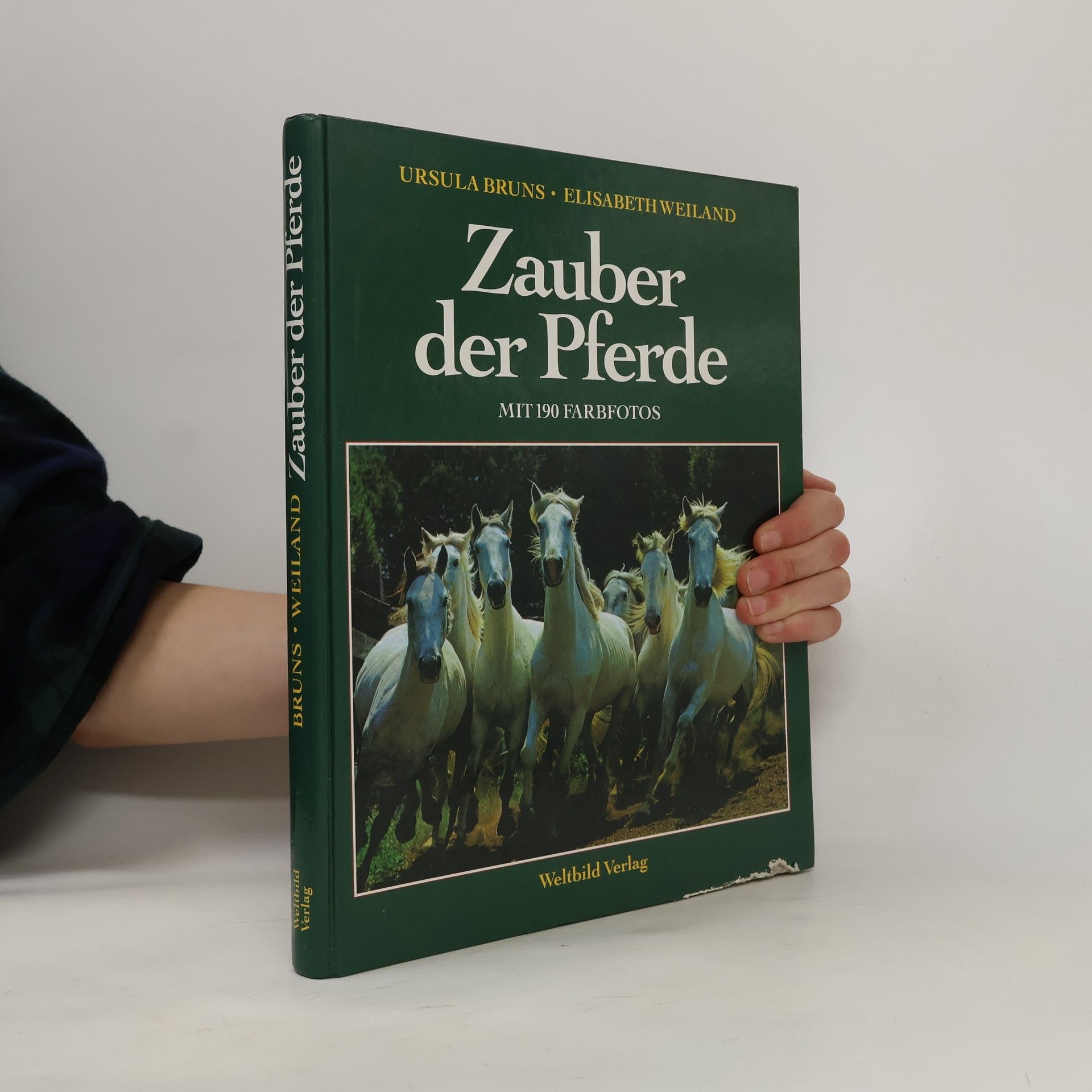 Ursula Bruns Zauber der Pferde