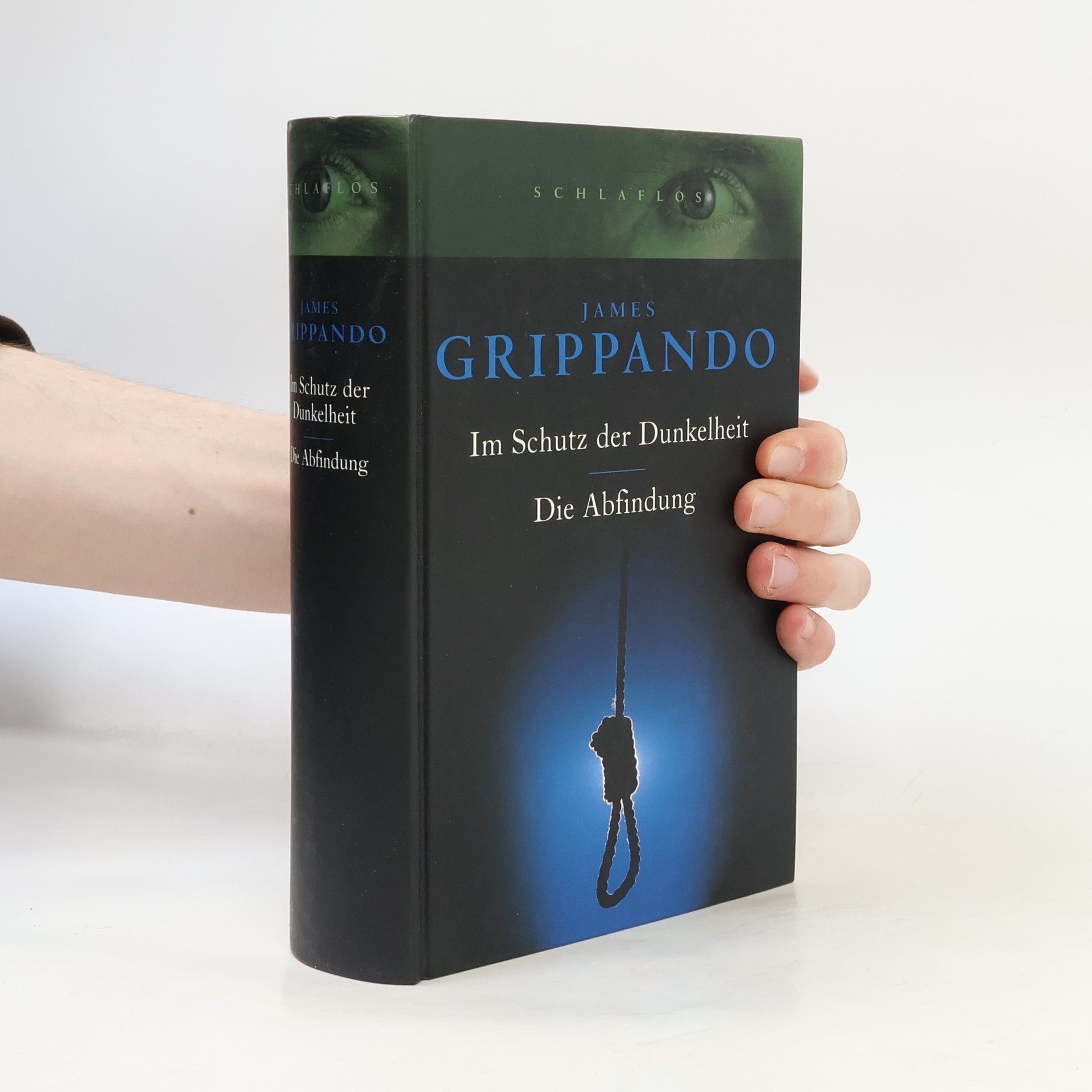 James Grippando Im Schutz der Dunkelheit. Die Abfindung
