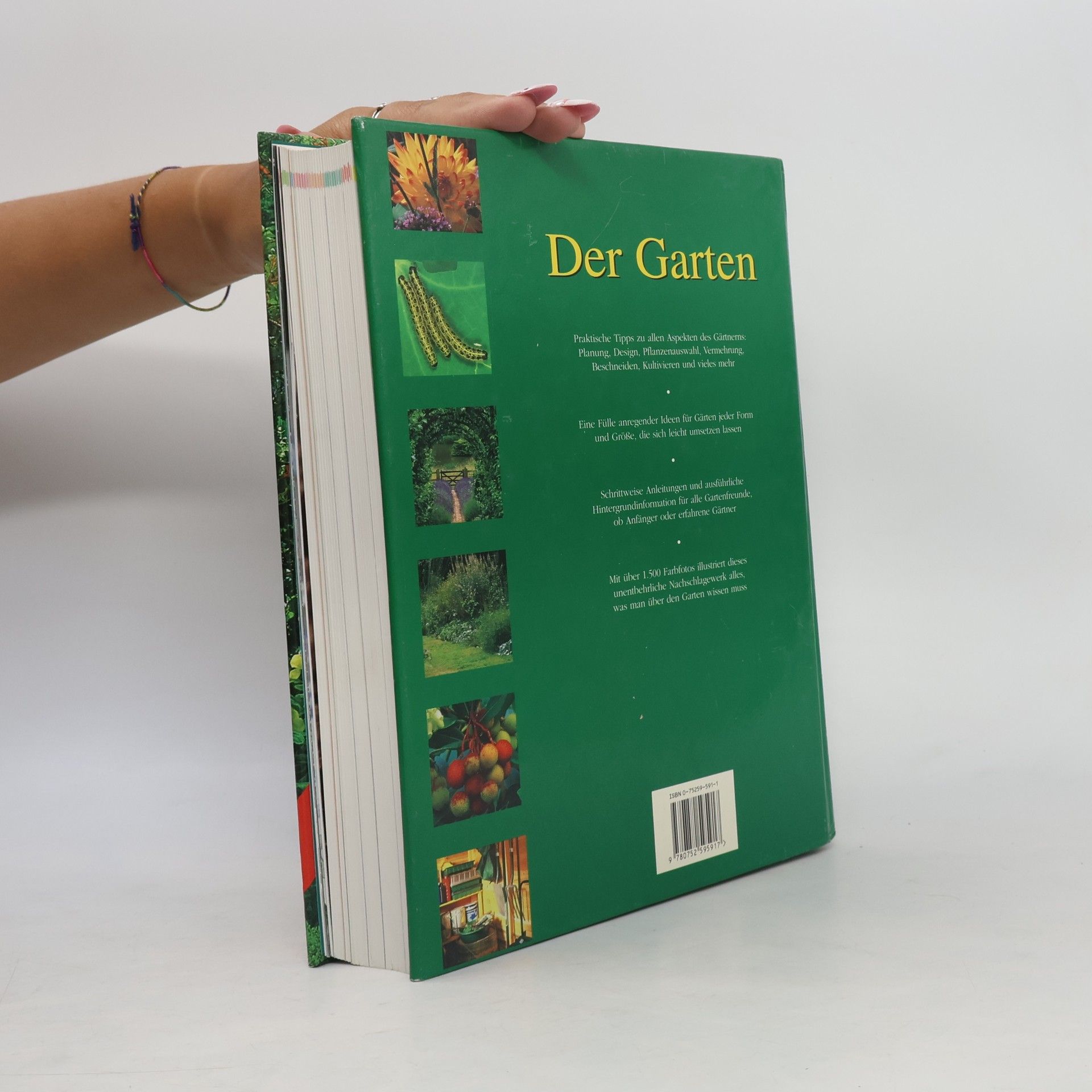 Deena Beverley Der Garten