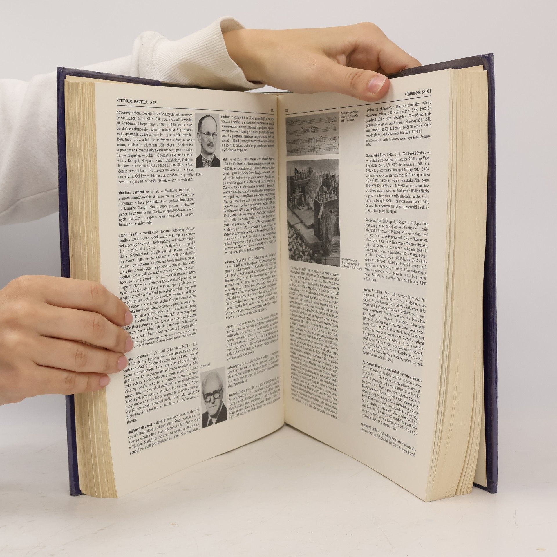 Autorenkollektiv Pedagogická encyklopédia Slovenska 2. P-Ž