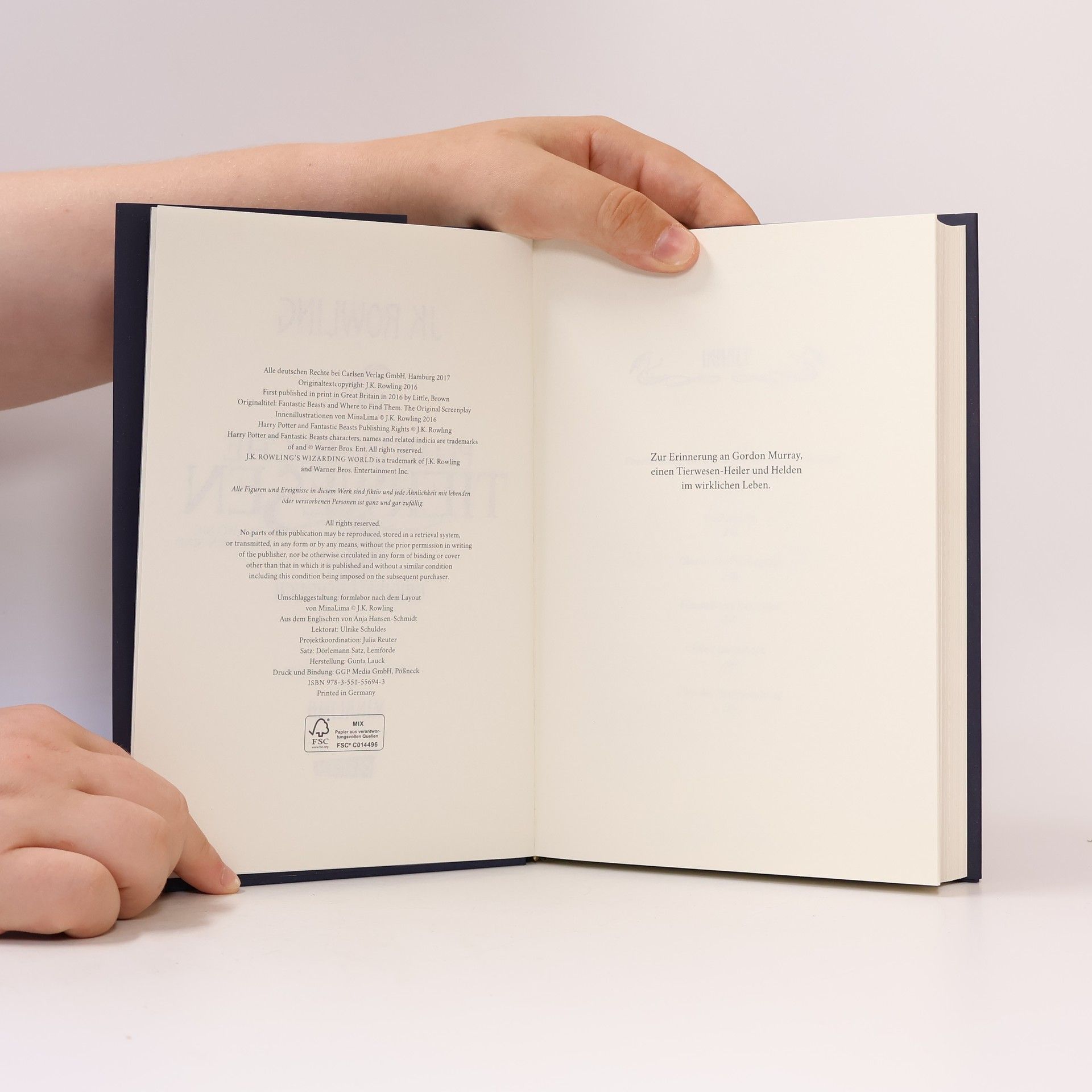 J. K. Rowling Phantastische Tierwesen und wo sie zu finden sind. Das Originaldrehbuch