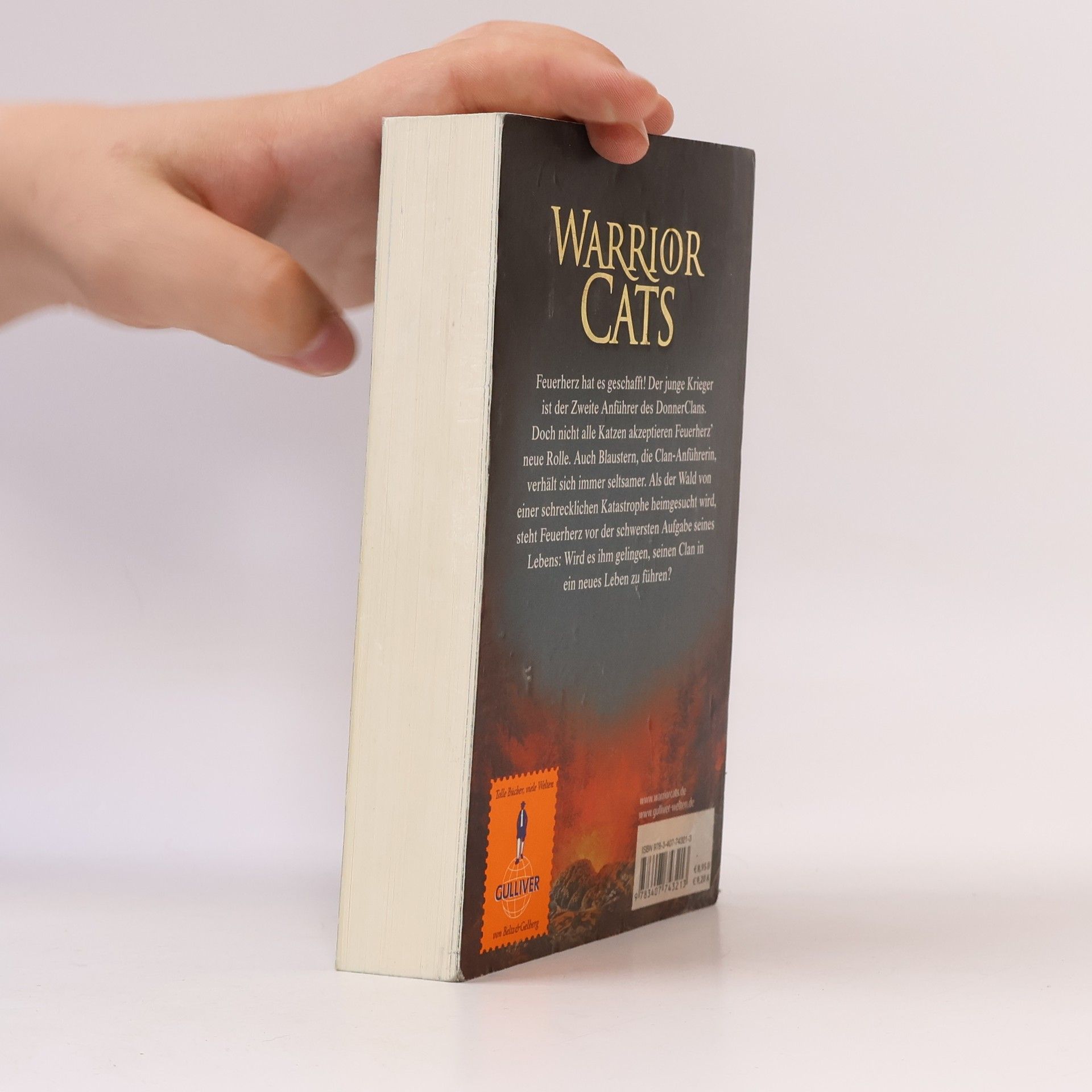 Erin Hunter Warrior Cats. Vor dem Sturm