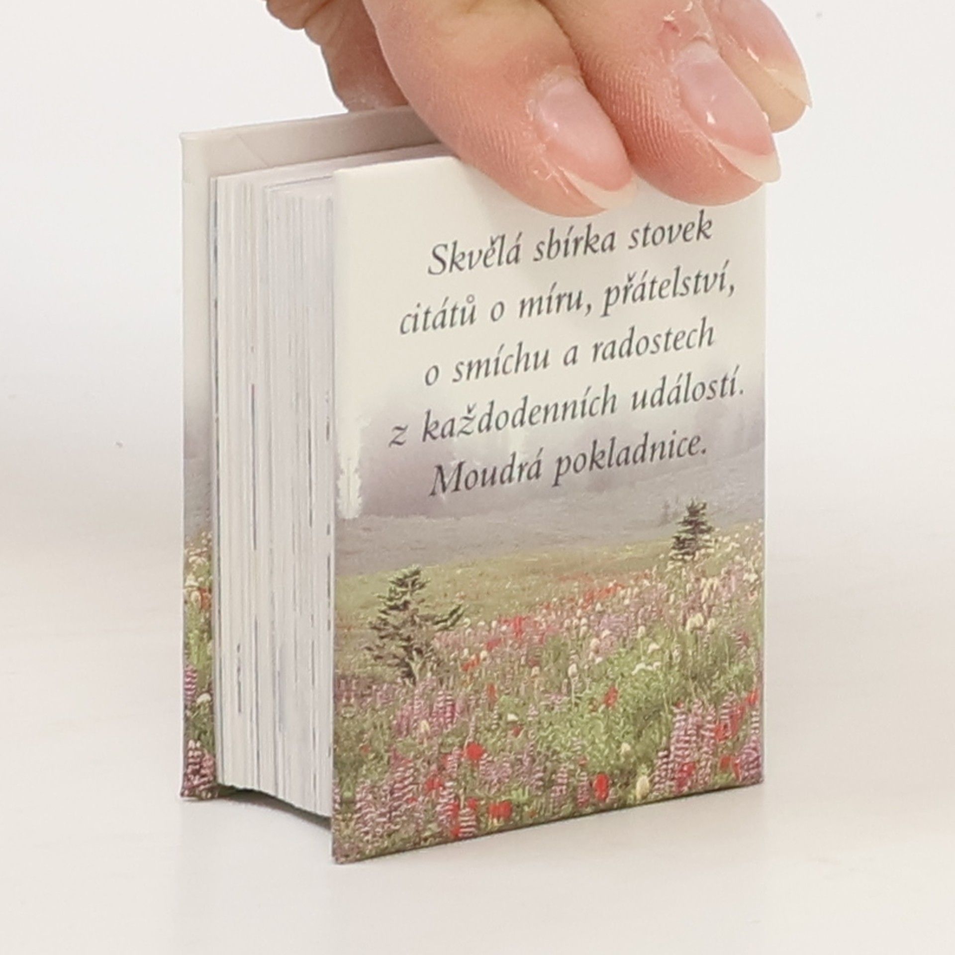 Helen Exley Štěstí je dar