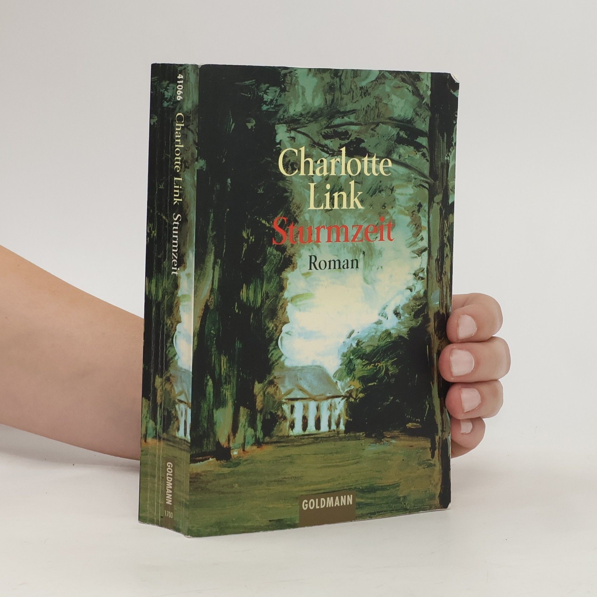 Charlotte Link Sturmzeit