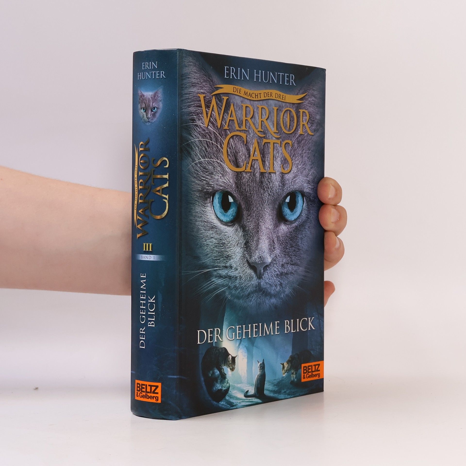 Erin Hunter Warrior Cats: Der geheime Blick