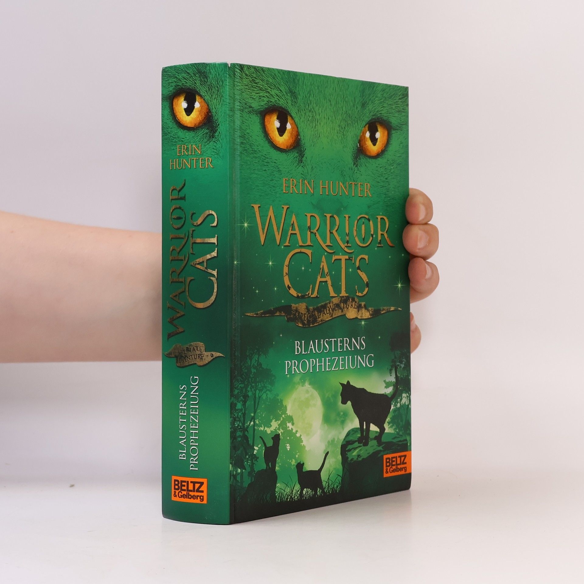 Erin Hunter Warrior cats. Special Adventure