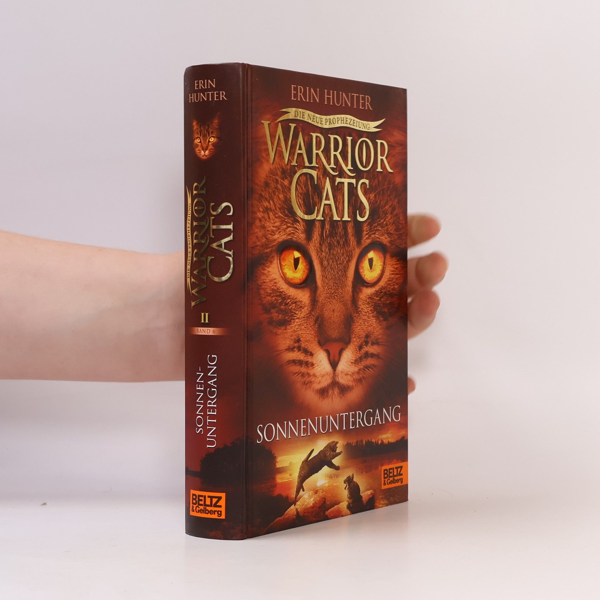 Erin Hunter Warrior Cats: Die neue Prophezeiung. Sonnenuntergang: II,6
