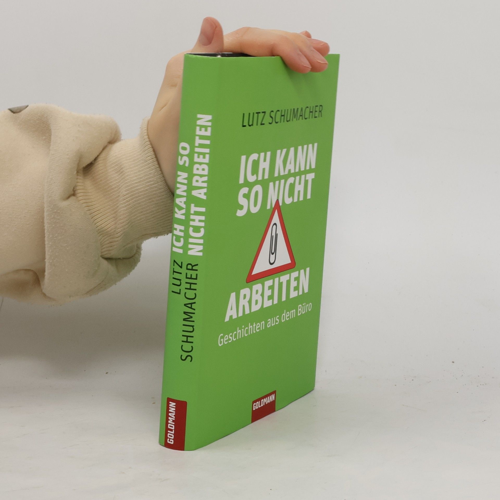 Lutz Schumacher Ich kann so nicht arbeiten