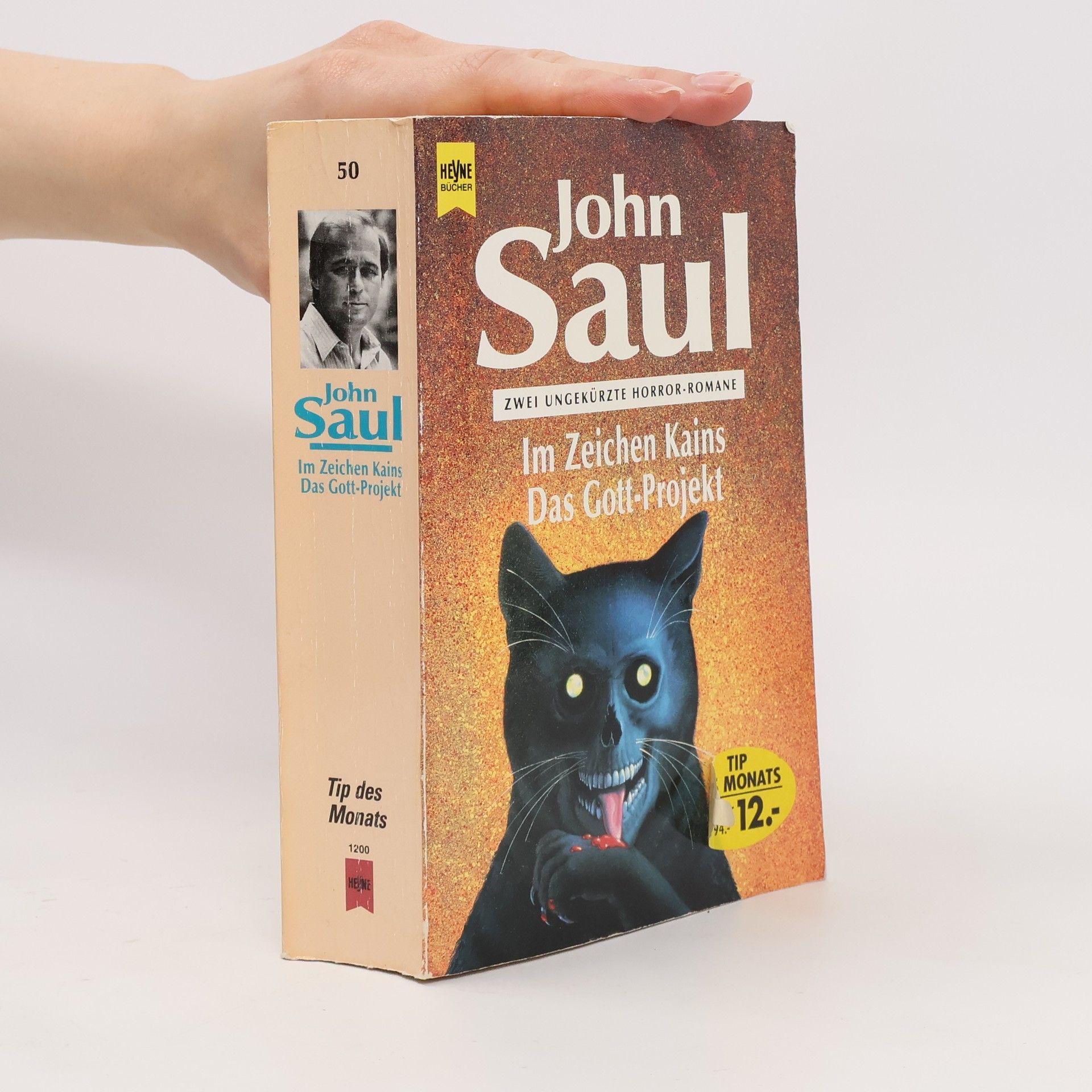 John Saul Im Zeichen Kains