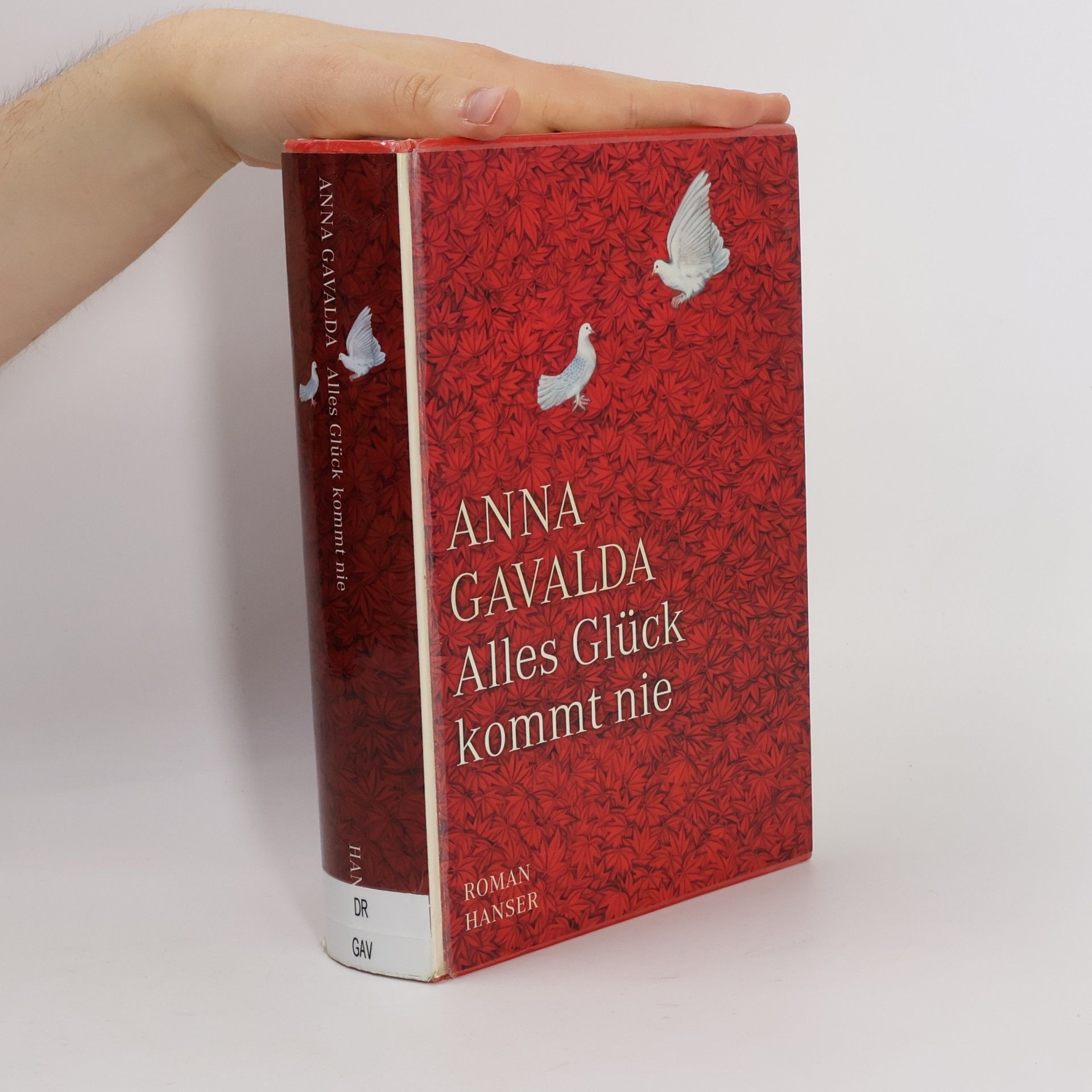Anna Gavalda Alles Glück kommt nie