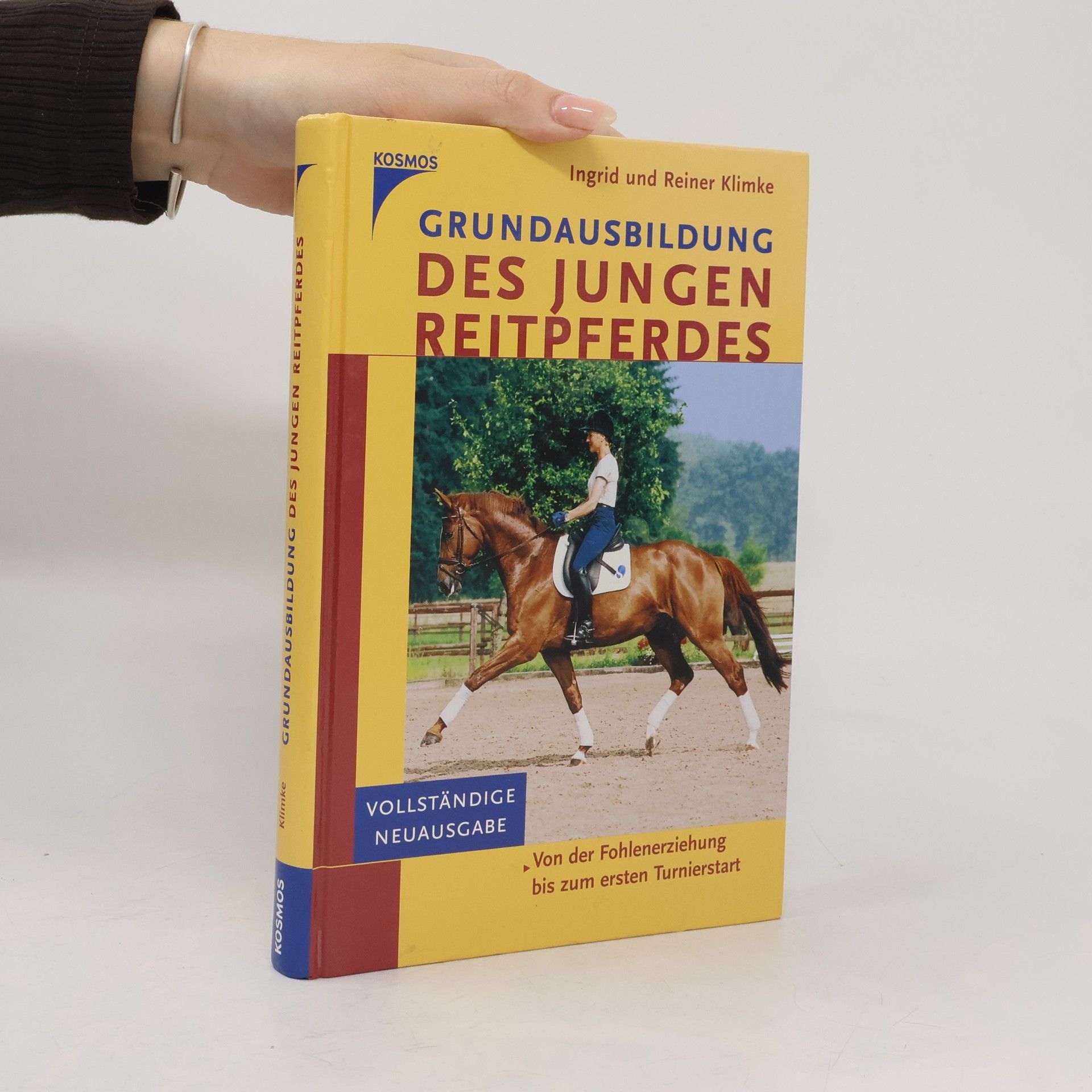 Grundausbildung des jungen Reitpferdes