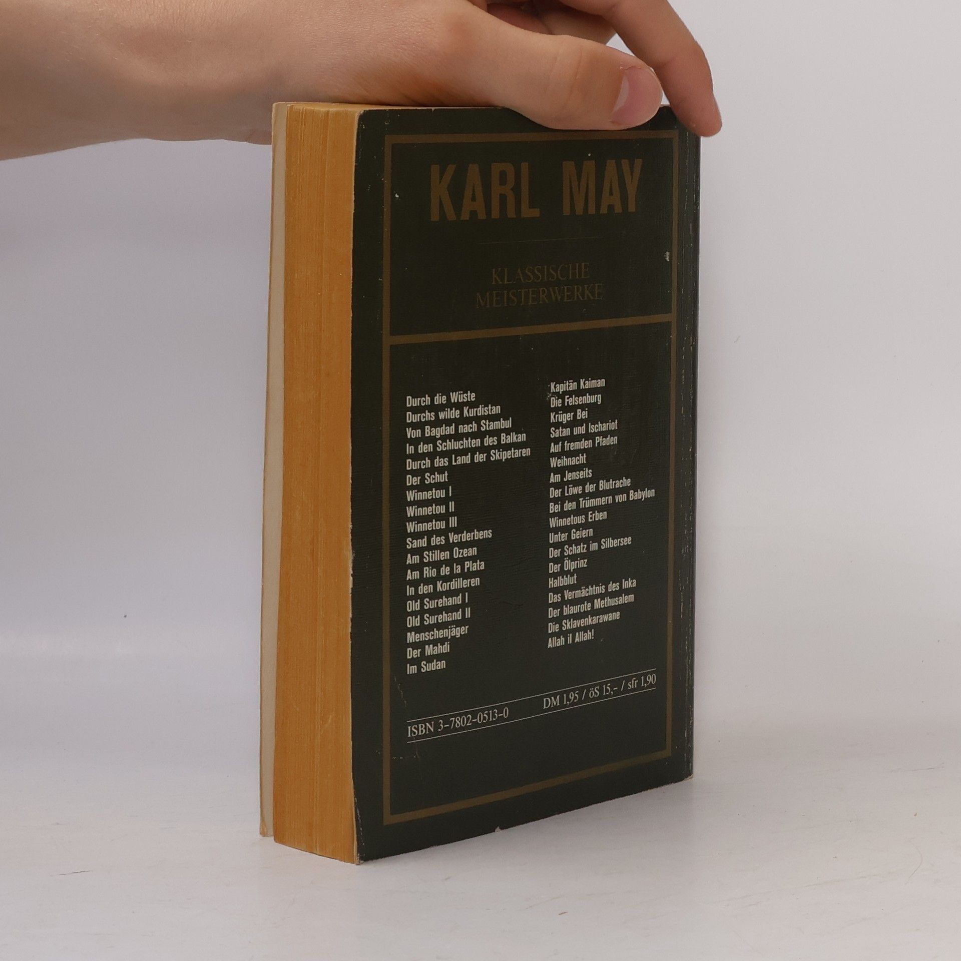 Karl May In den Kordilleren