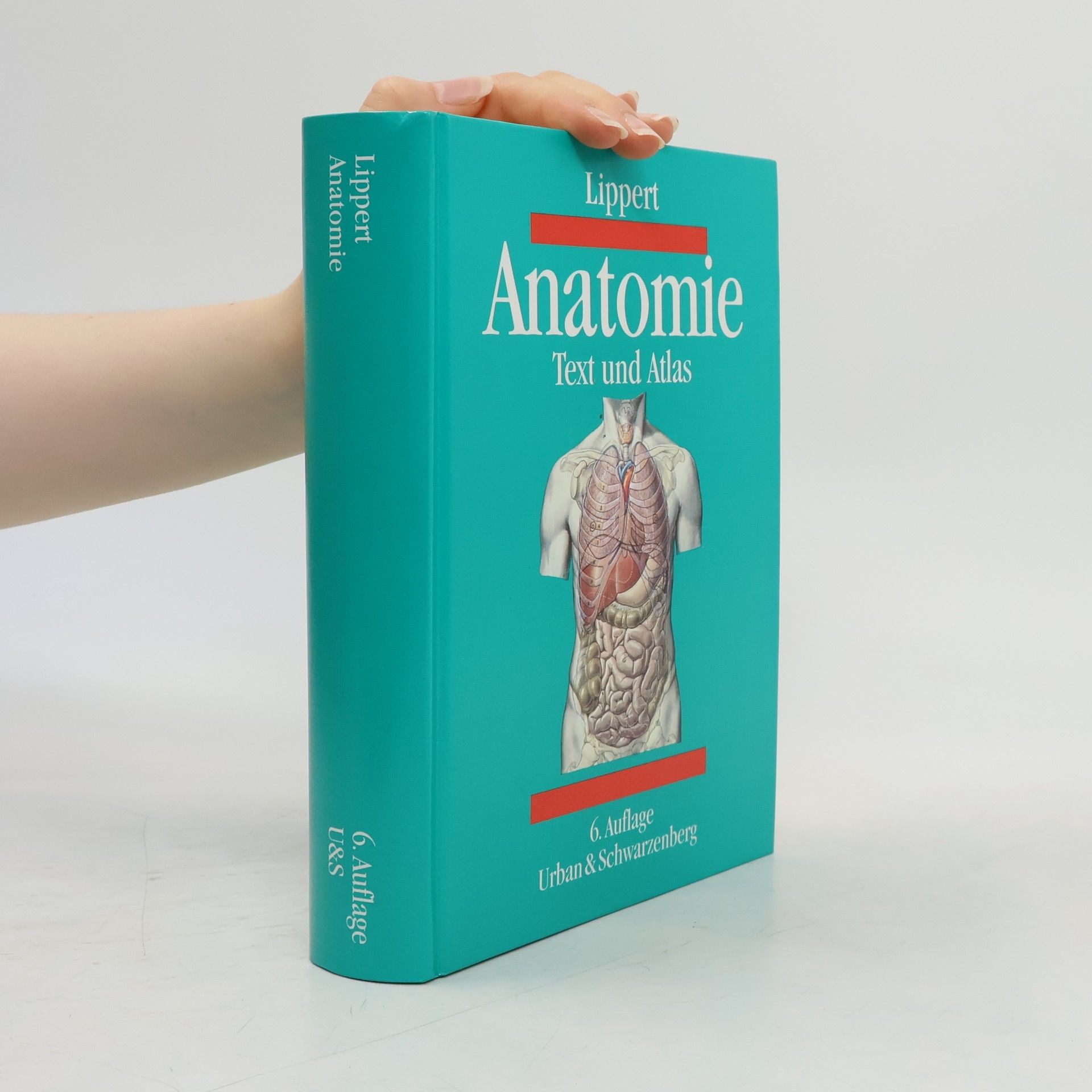 Herbert Lippert Anatomie
