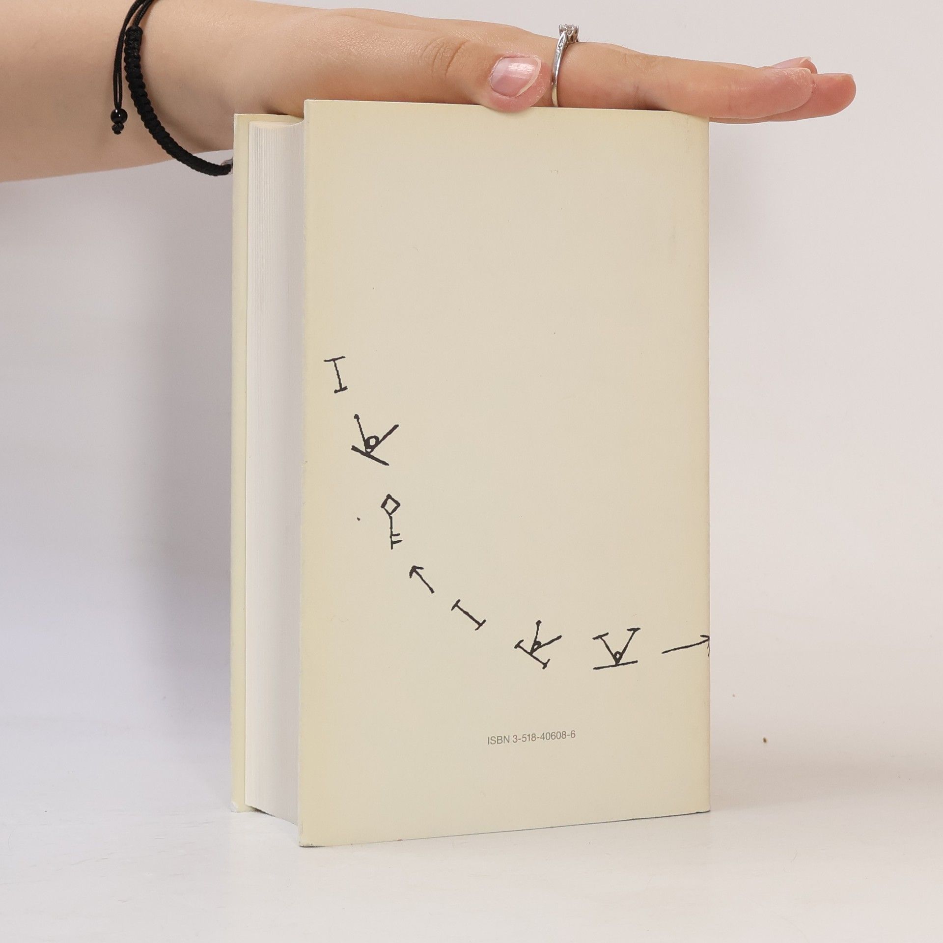 Peter Handke Mein Jahr in der Niemandsbucht