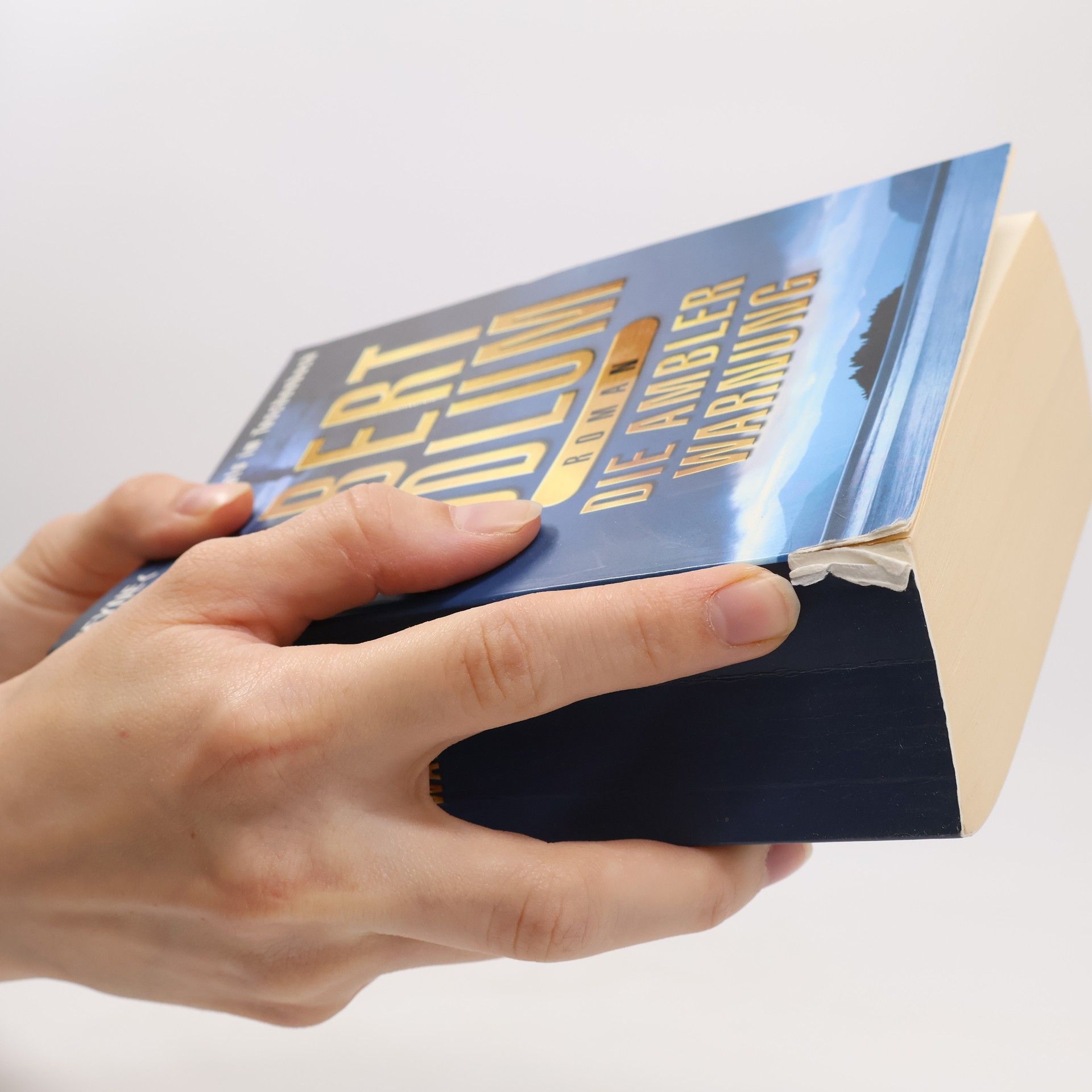 Robert Ludlum Die Ambler-Warnung