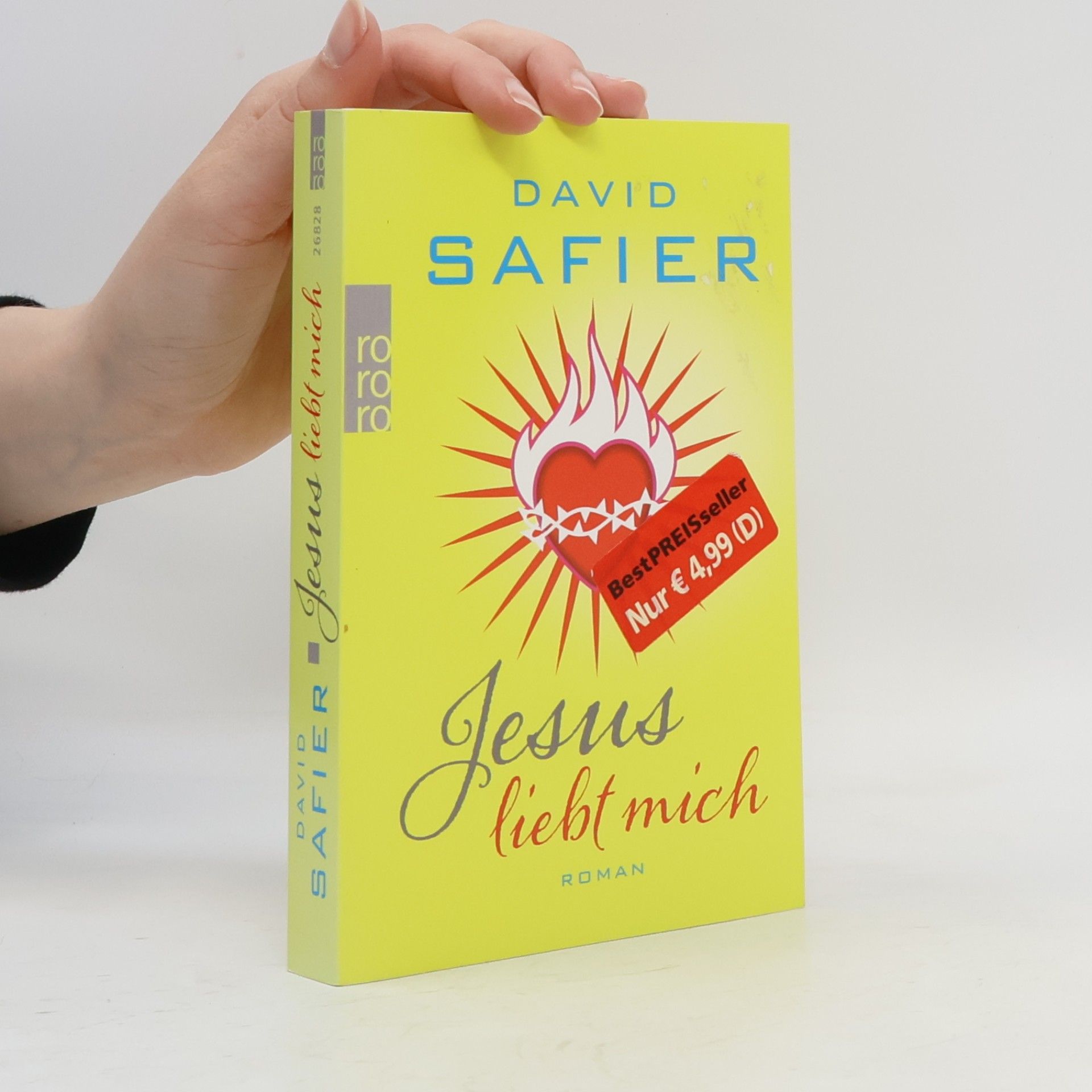 David Safier Jesus liebt mich