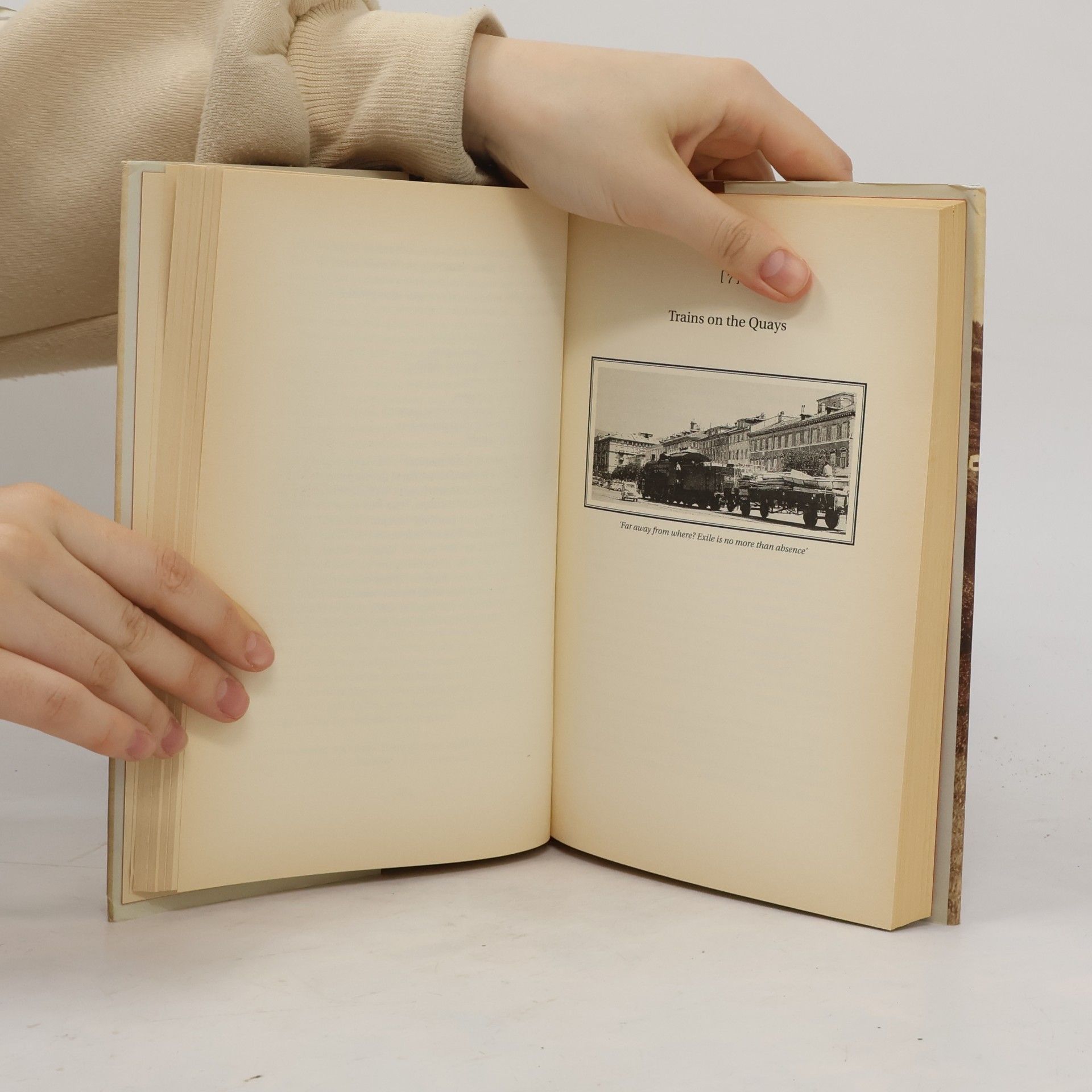 Jan Morris Trieste and the Meaning of Nowhere