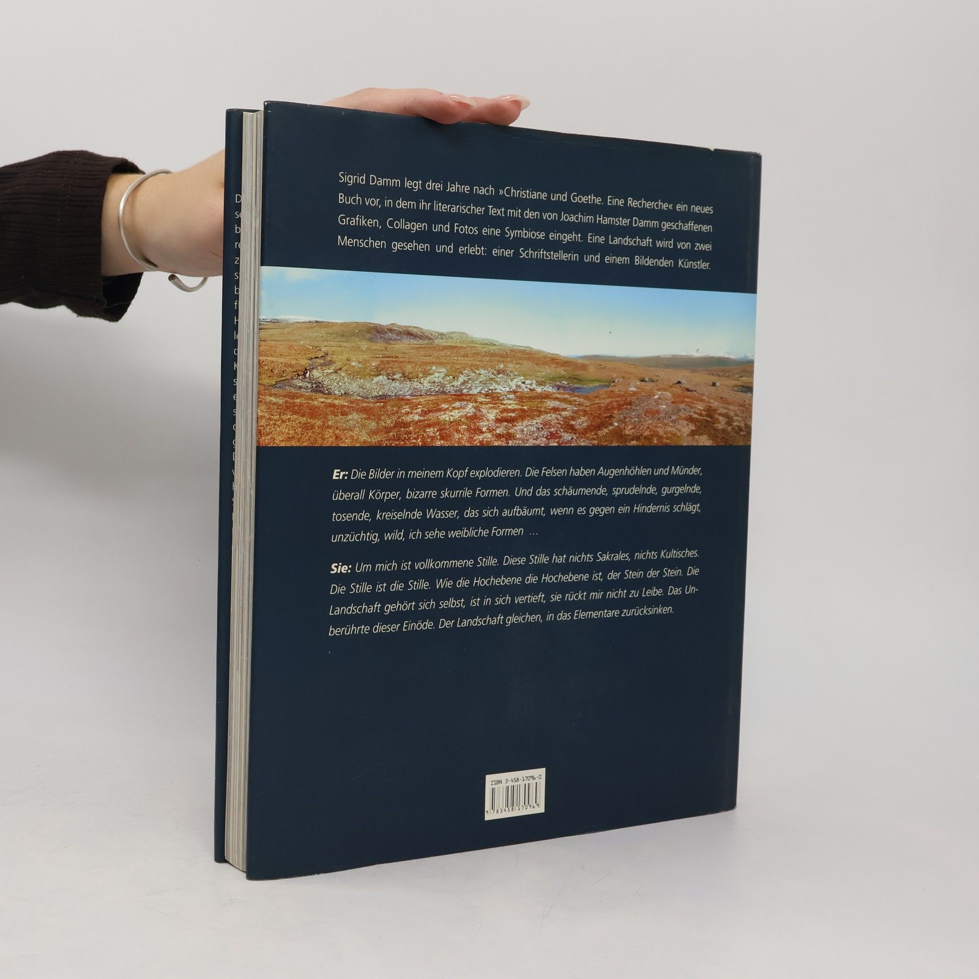 Sigrid Damm Tage- und Nächtebücher aus Lappland