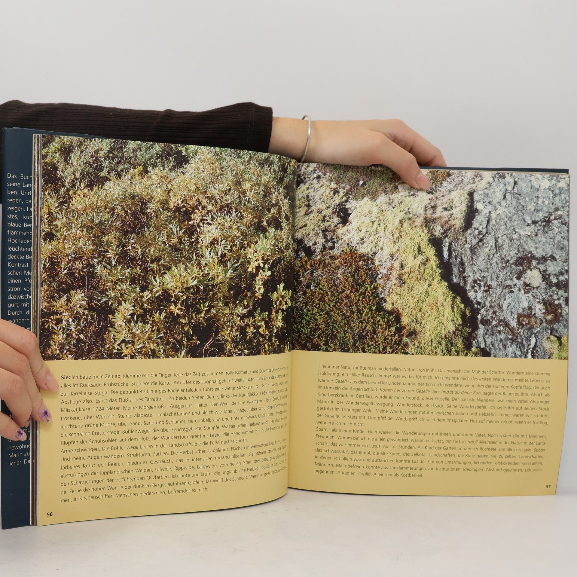 Sigrid Damm Tage- und Nächtebücher aus Lappland