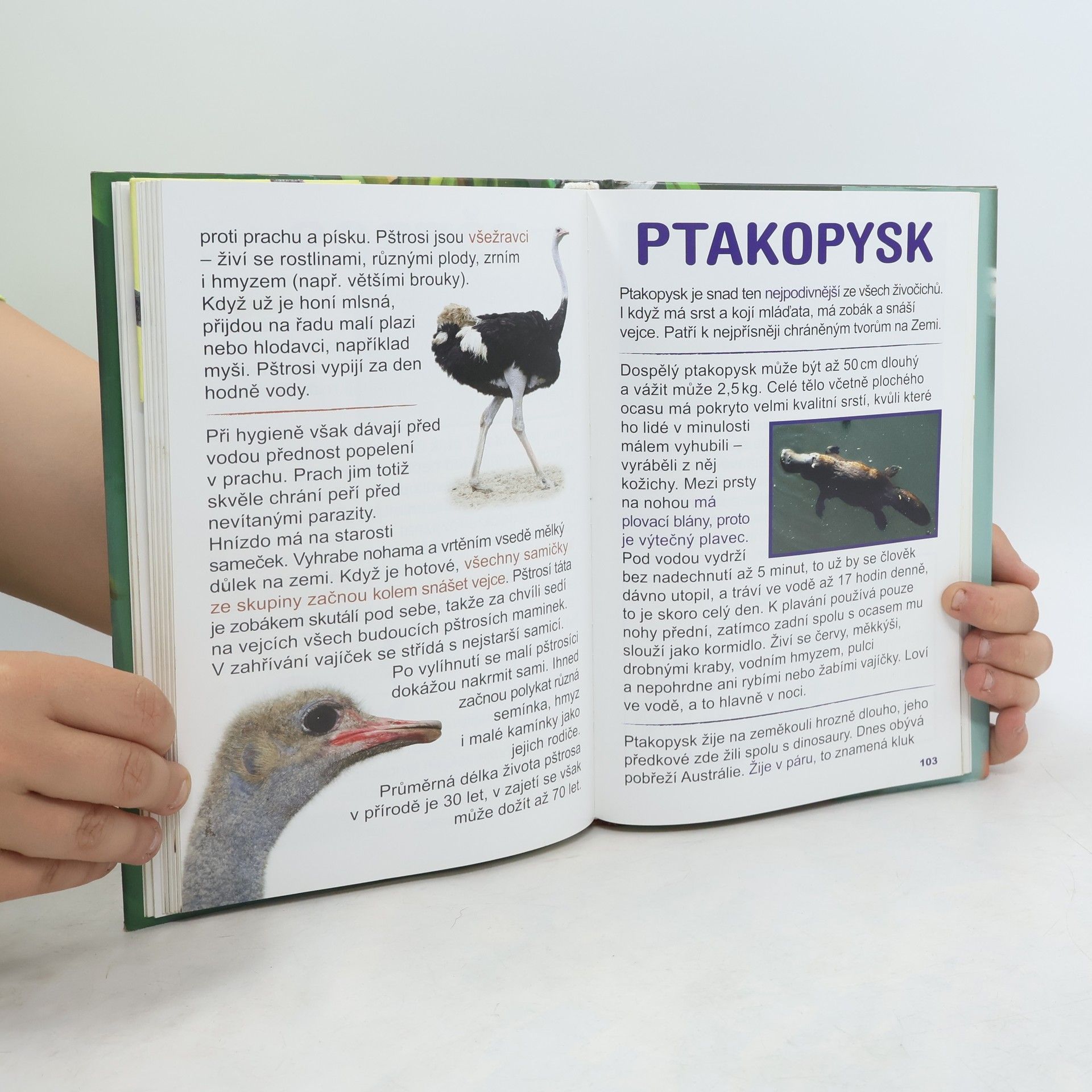 Bohunka Trelová První čtení o zvířátkách