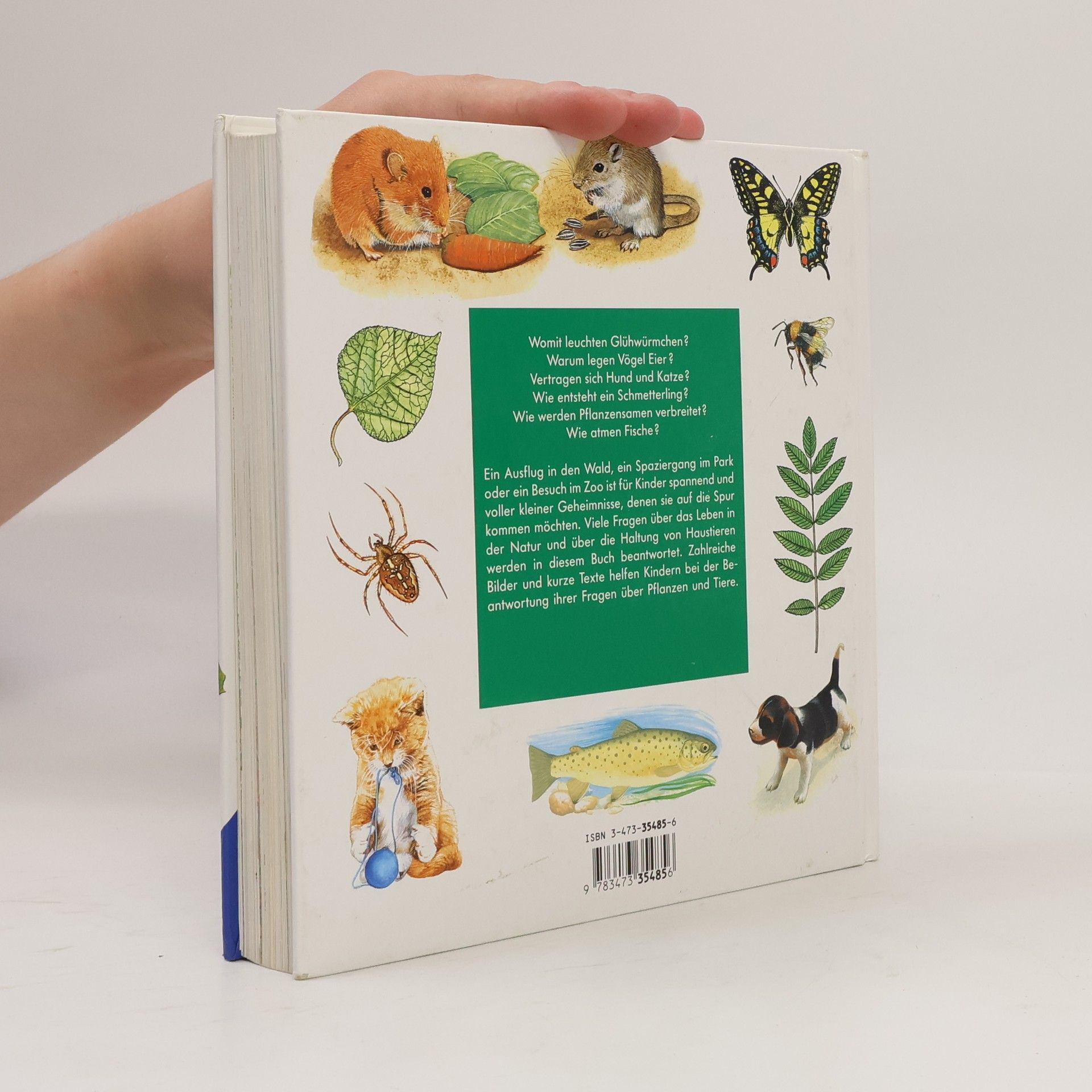 Ravensburger Buchverlag Alles was ich wissen will