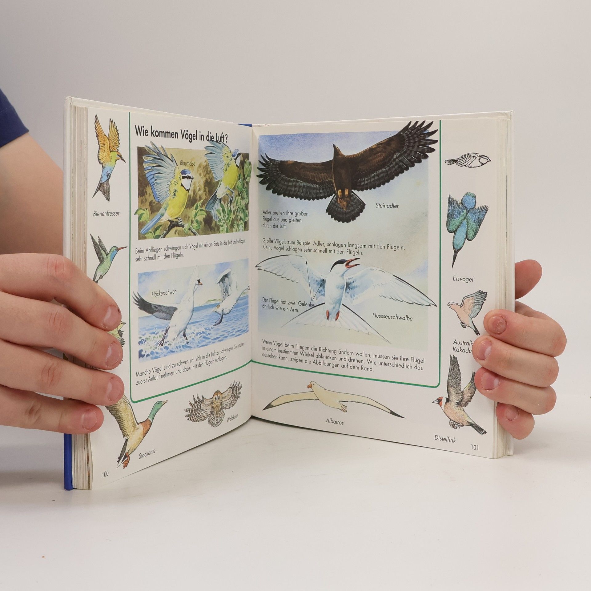 Ravensburger Buchverlag Alles was ich wissen will