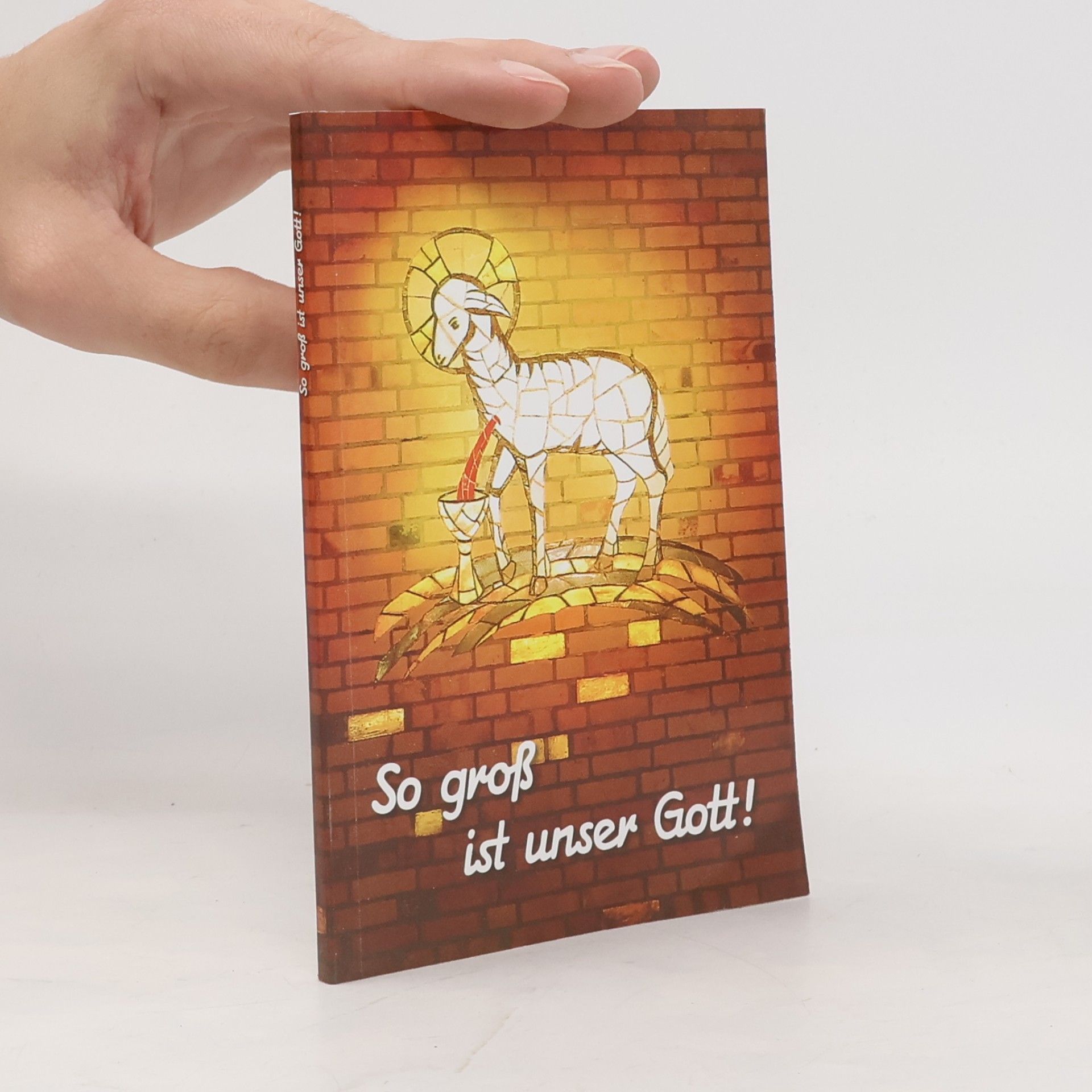 Kolektiv autorů So groß ist unser Gott!