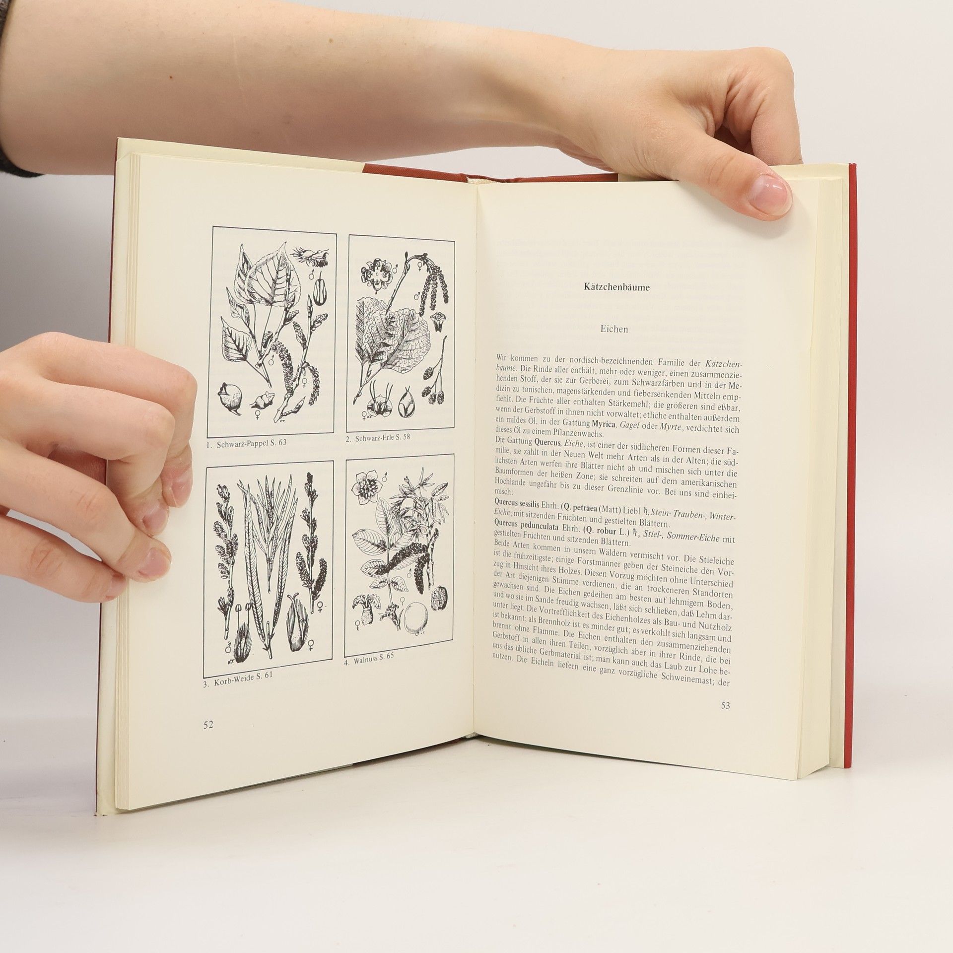 Adelbert von Chamisso Illustriertes Heil-, Gift- und Nutzpflanzenbuch