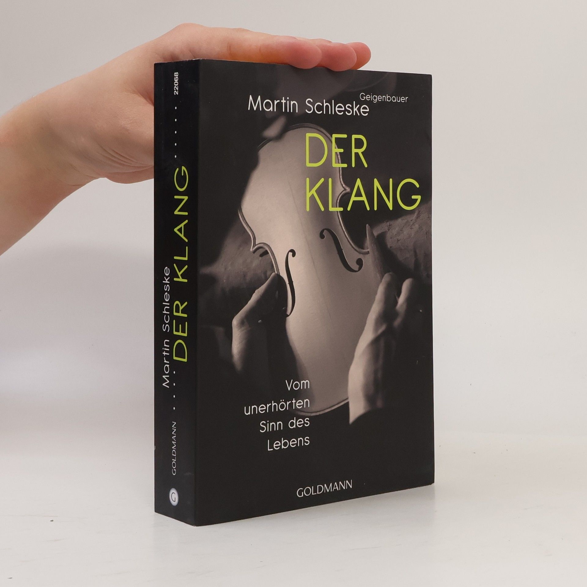 Martin Schleske Der Klang
