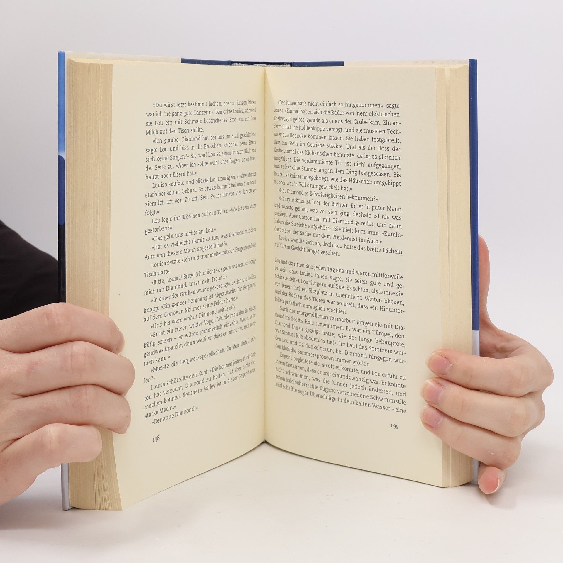 David Baldacci Das Versprechen