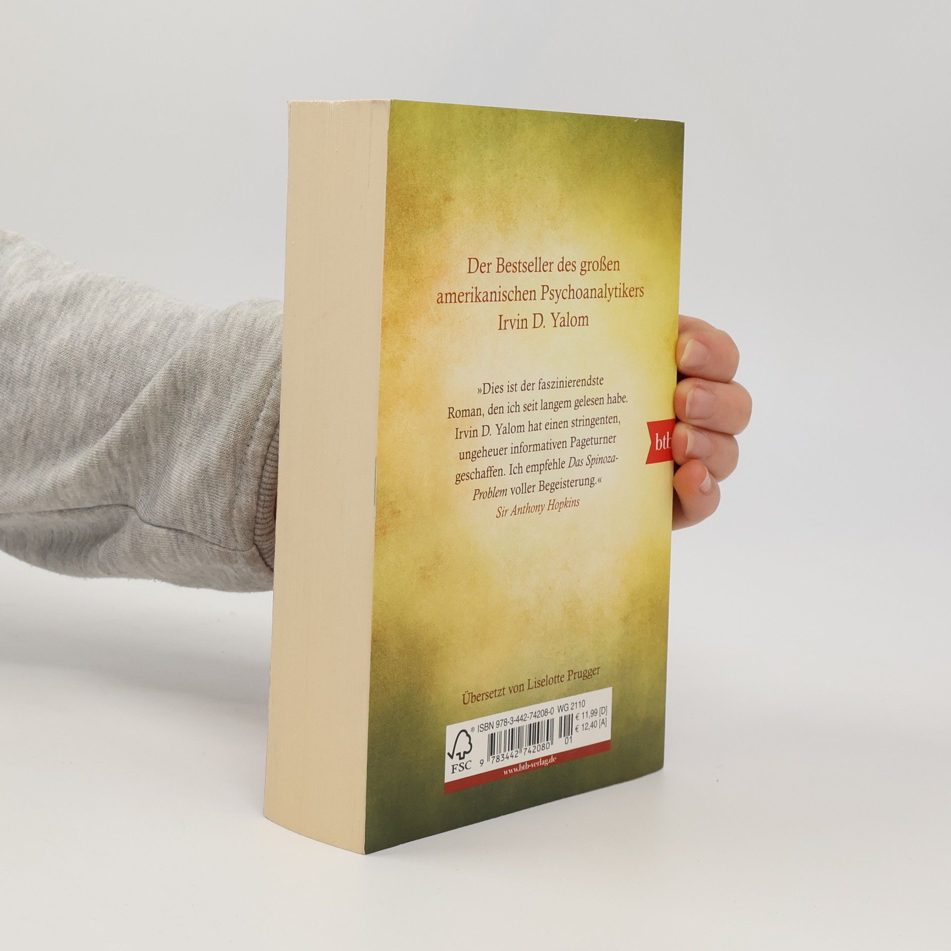 Irvin Yalom Das Spinoza-Problem