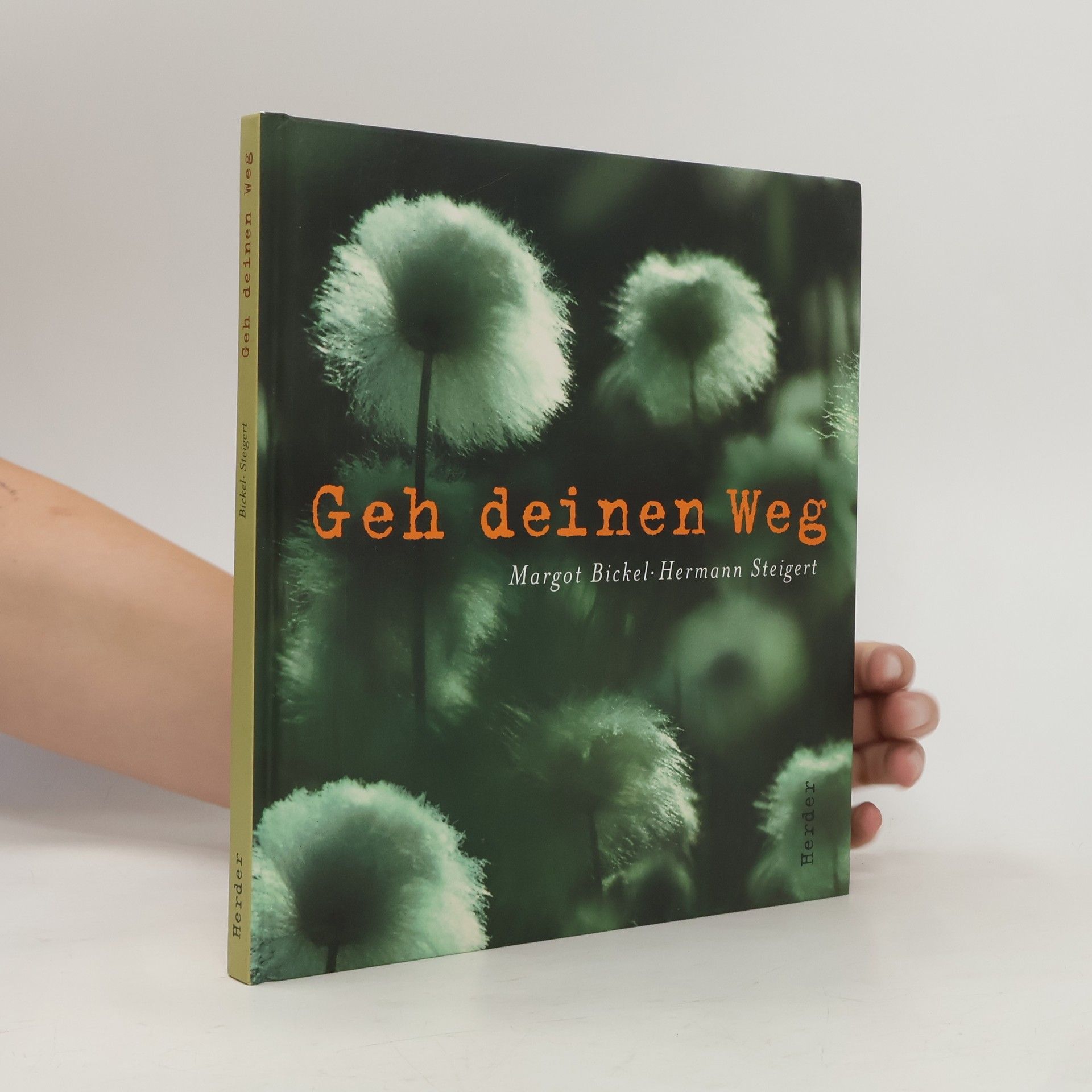 Hermann Steigert Geh deinen Weg