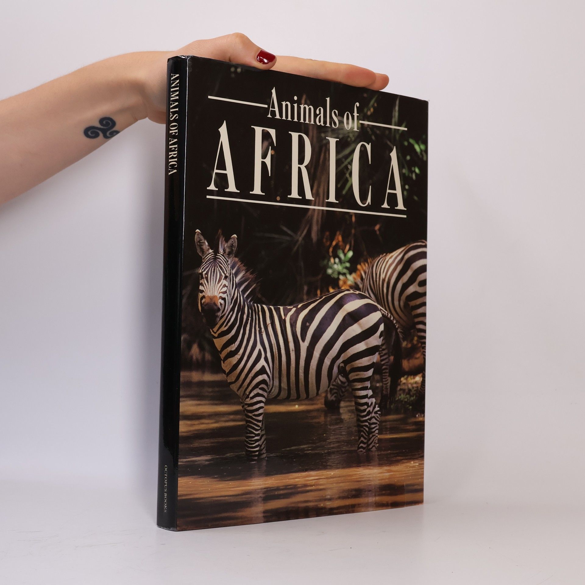 Autorenkollektiv Animals of Africa