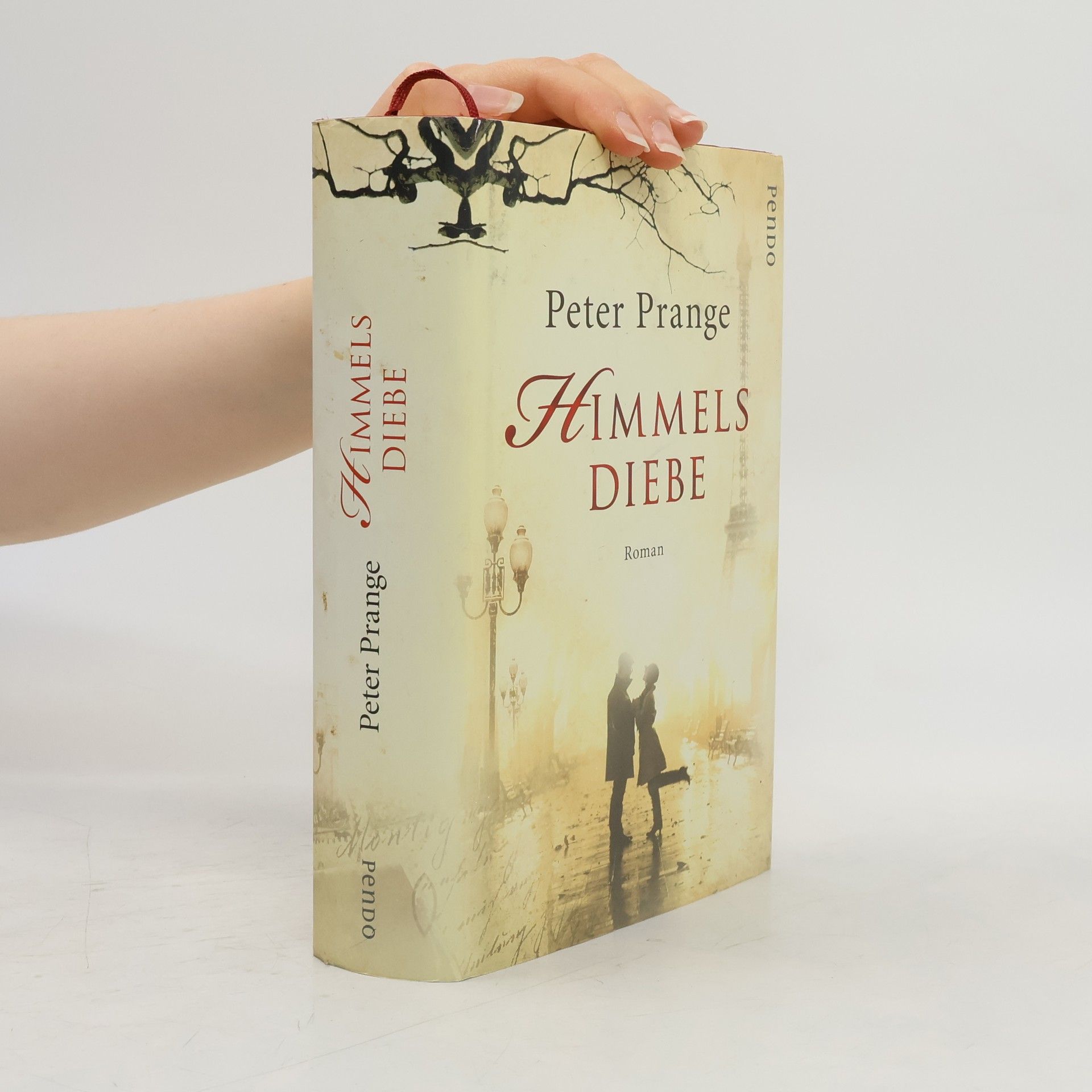 Peter Prange Himmelsdiebe