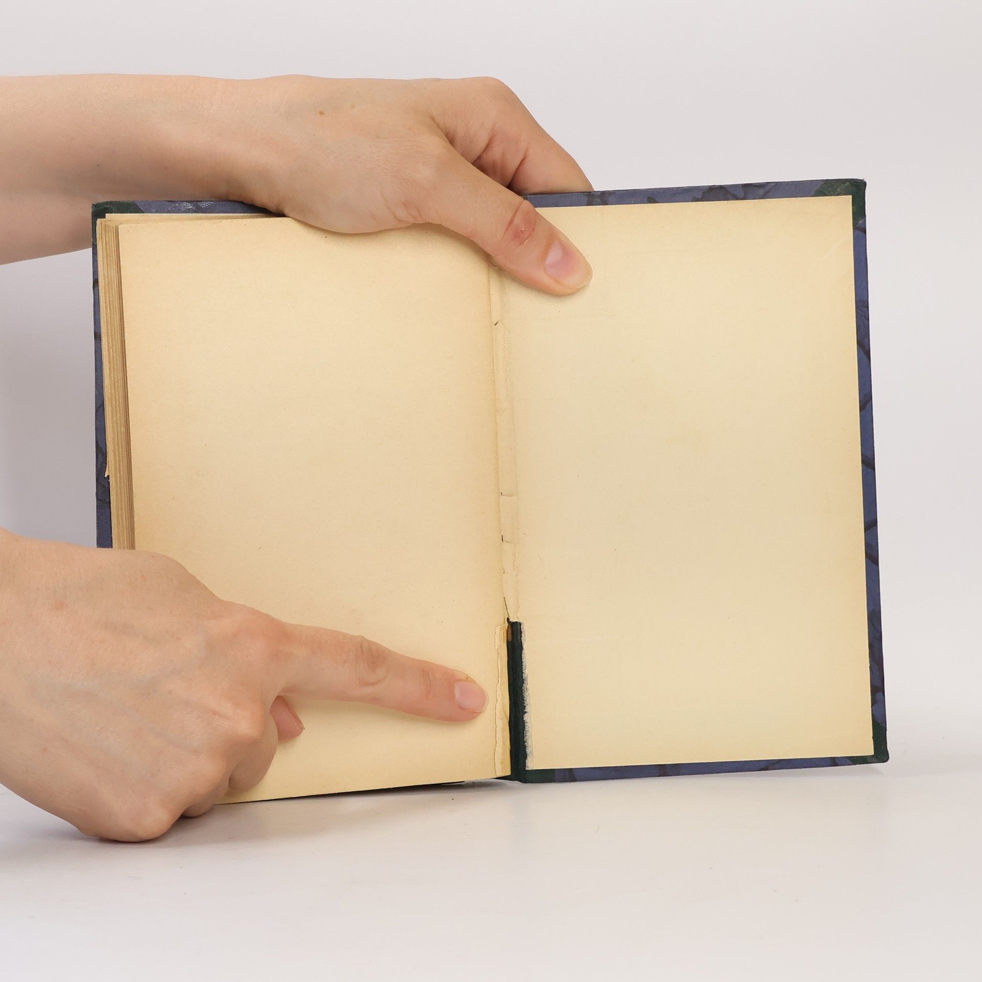 Anthony Berkeley Cox Galgenvögel