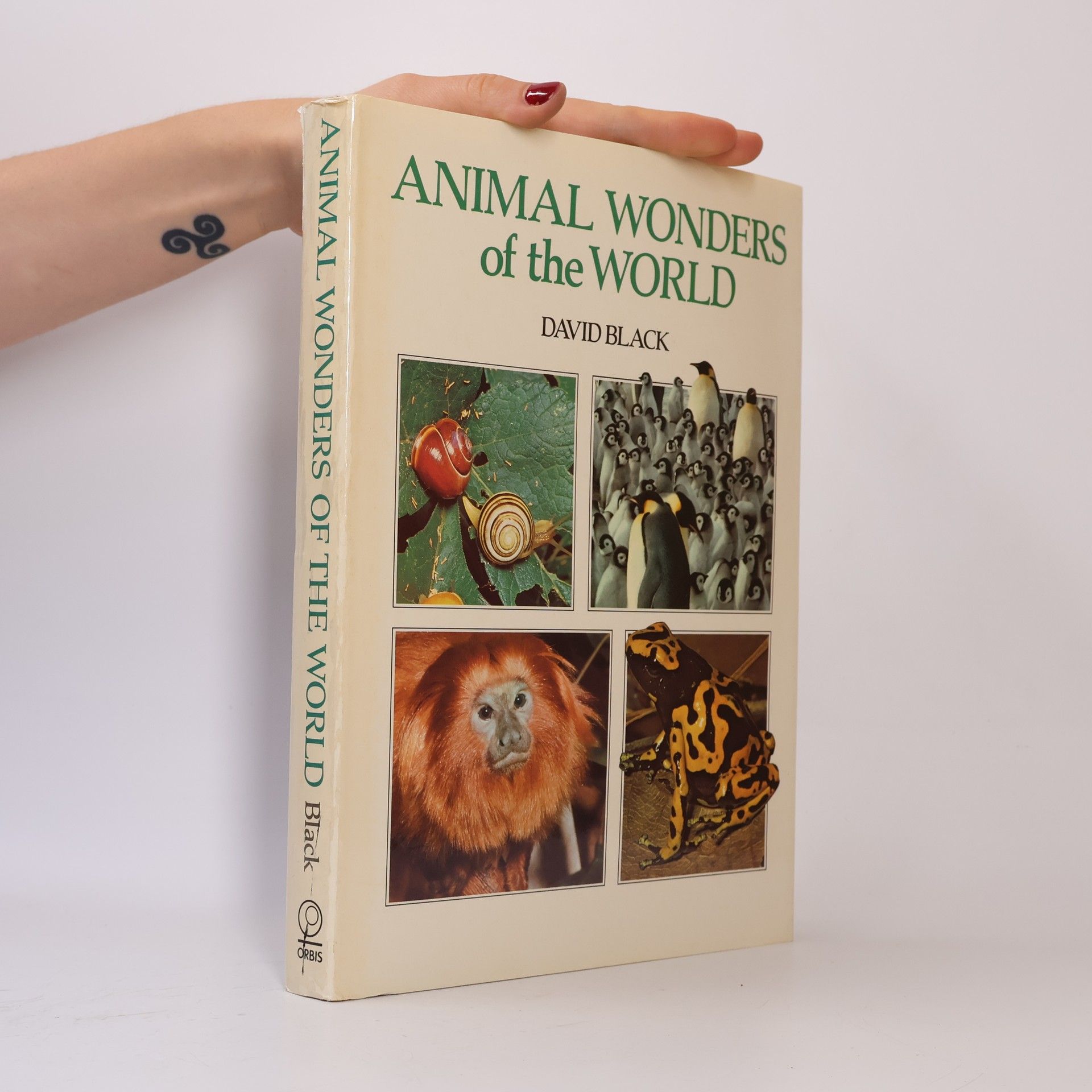 David Black Animal Wonders of the World