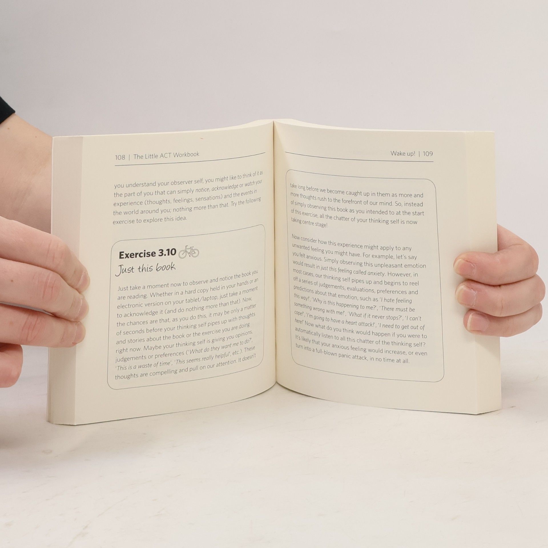 Dr Michael Sinclair The Little ACT Workbook