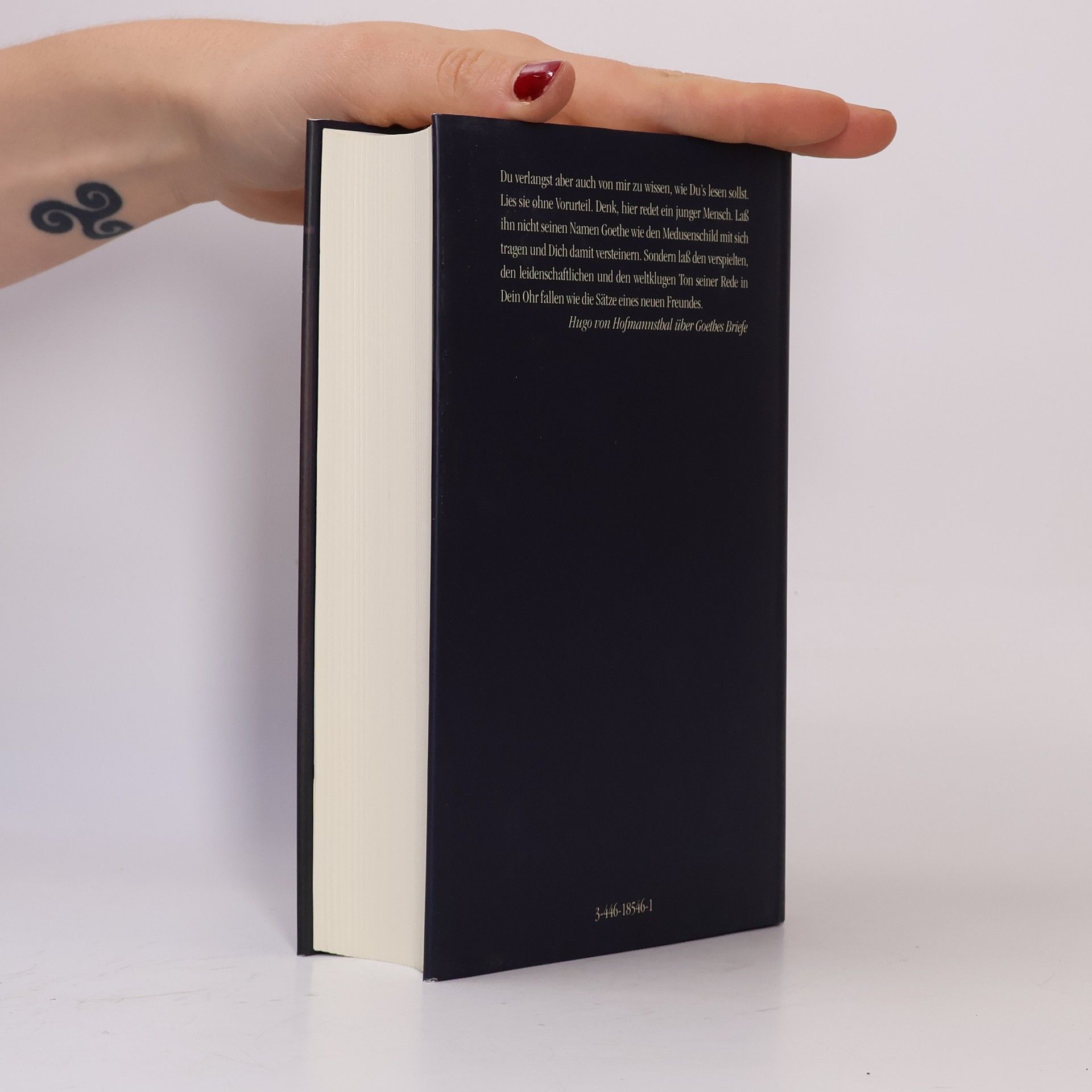 Johann Wolfgang von Goethe Leben und Welt in Briefen