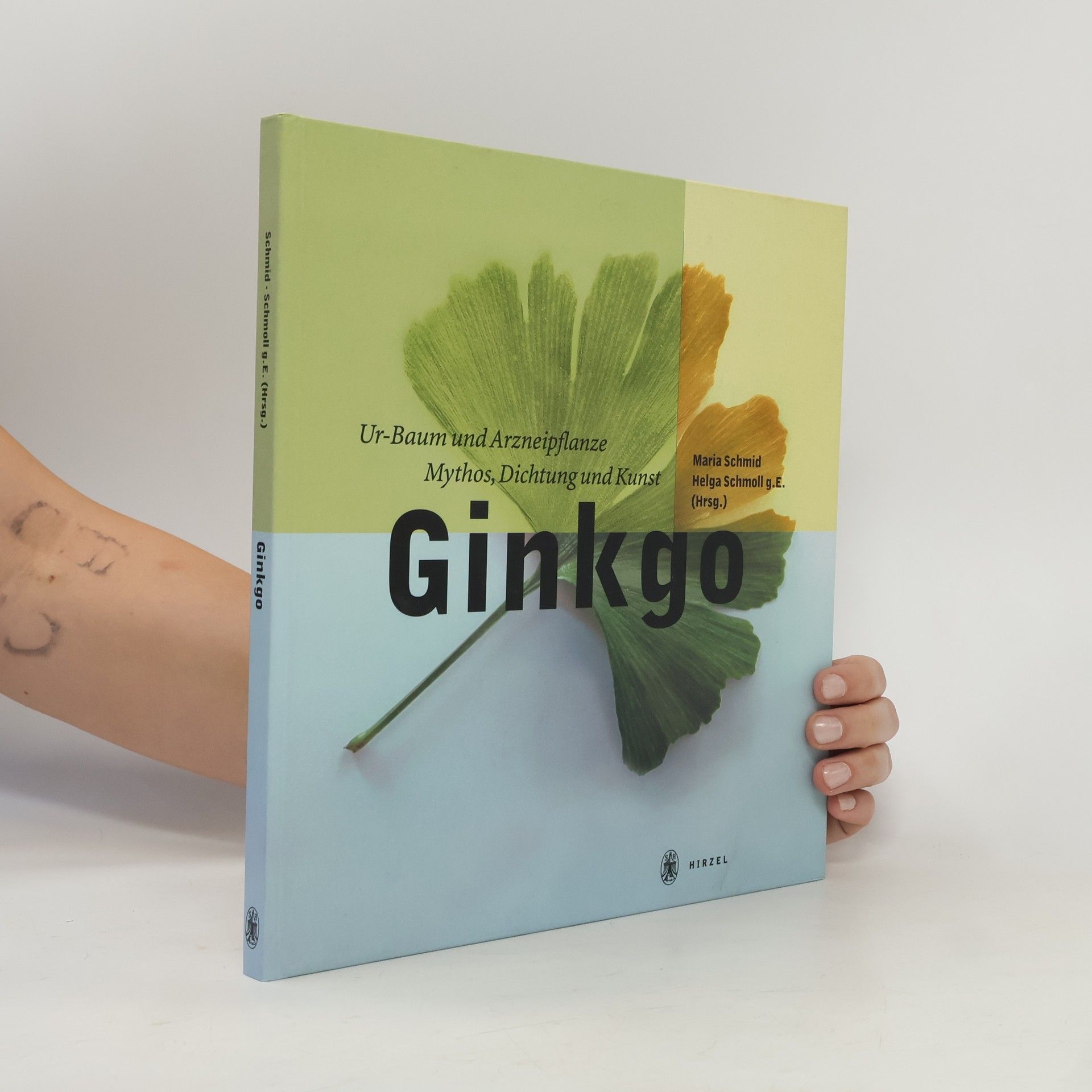 Ginkgo