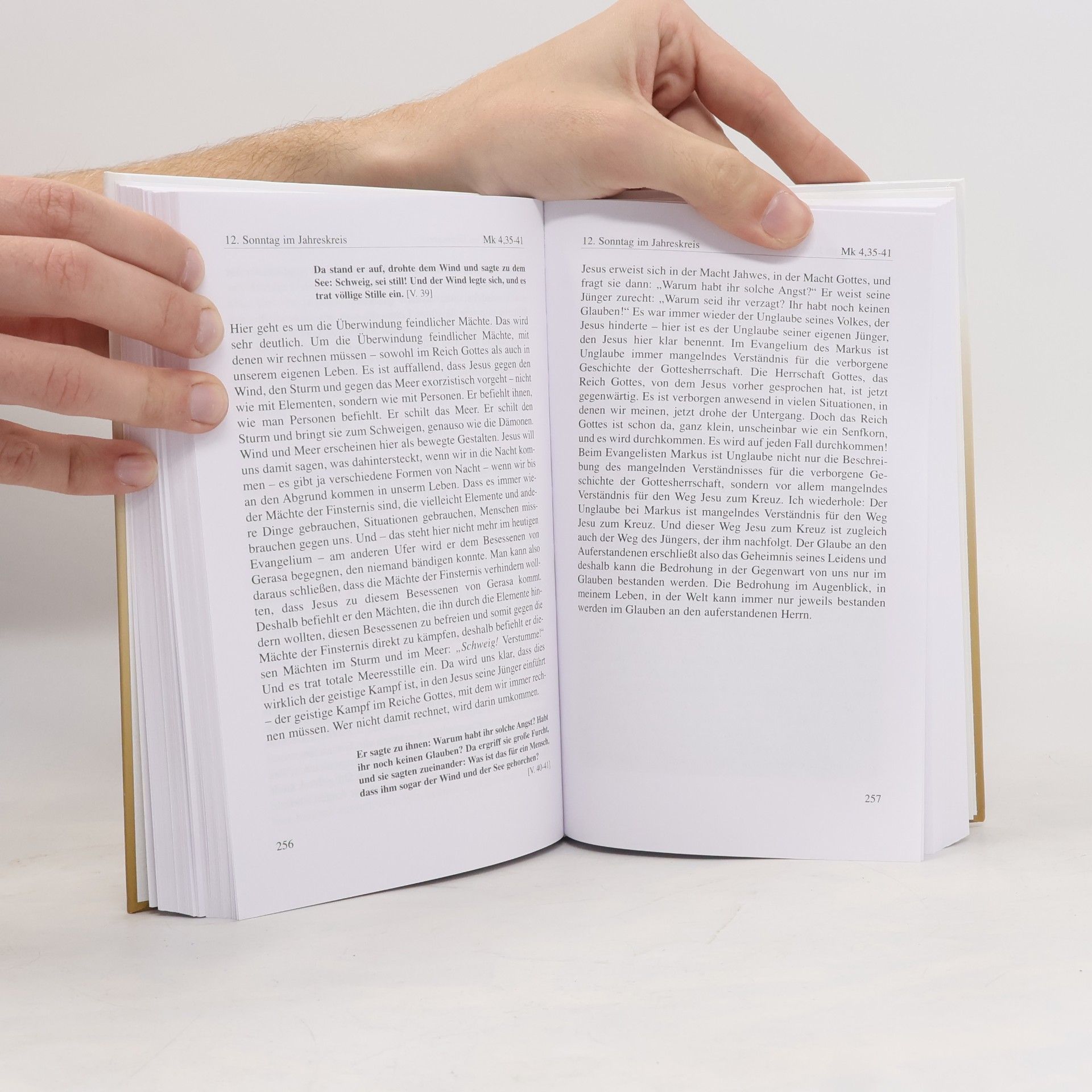 Hans Buob Biblische Predigten zu den Sonntagsevangelien Lesejahr B